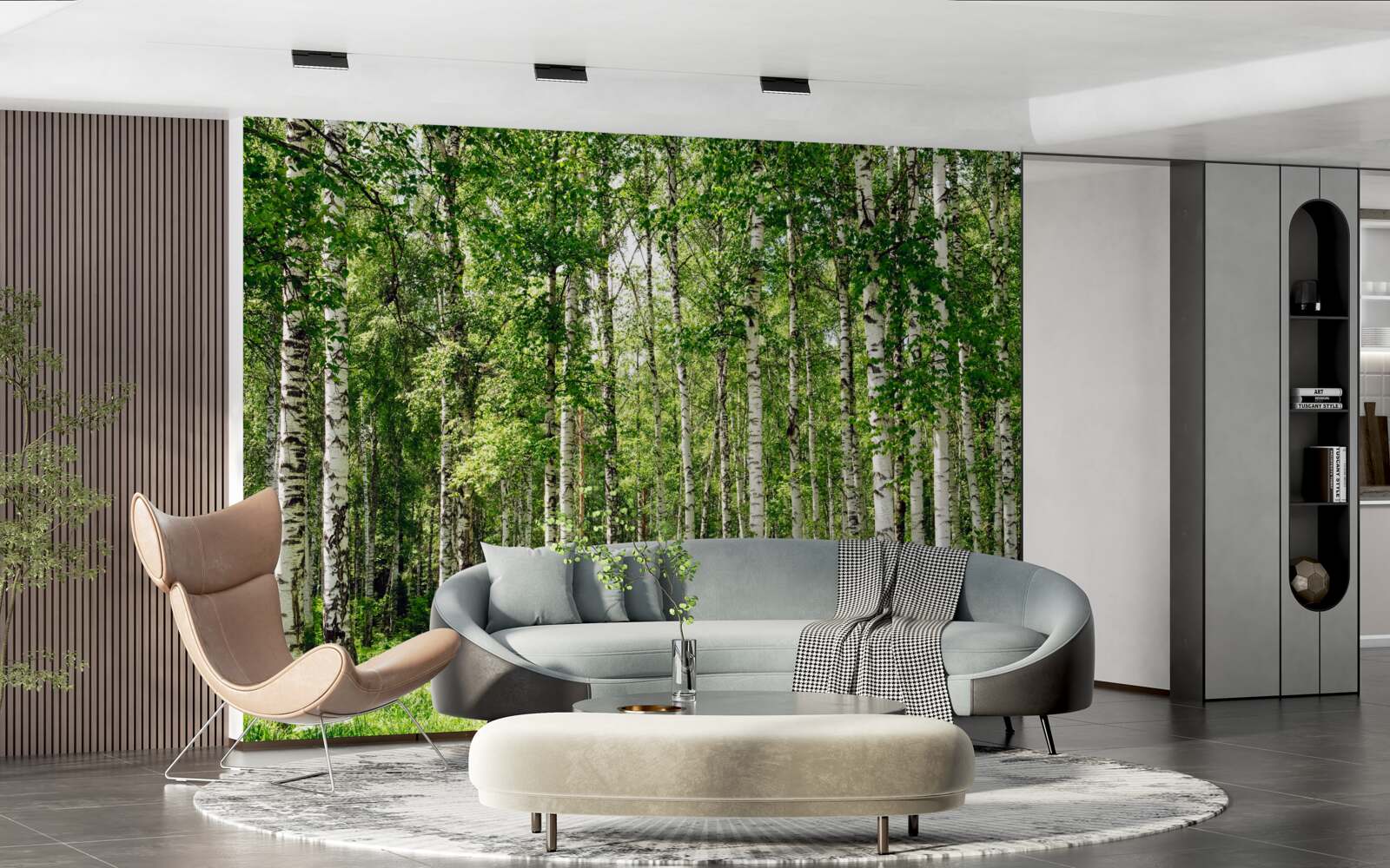 Fototapeta smukły gaj brzozowy