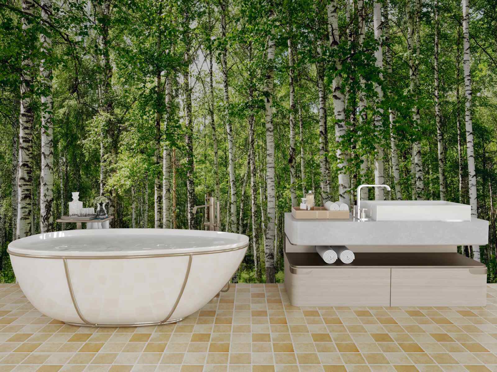 Fototapeta smukły gaj brzozowy