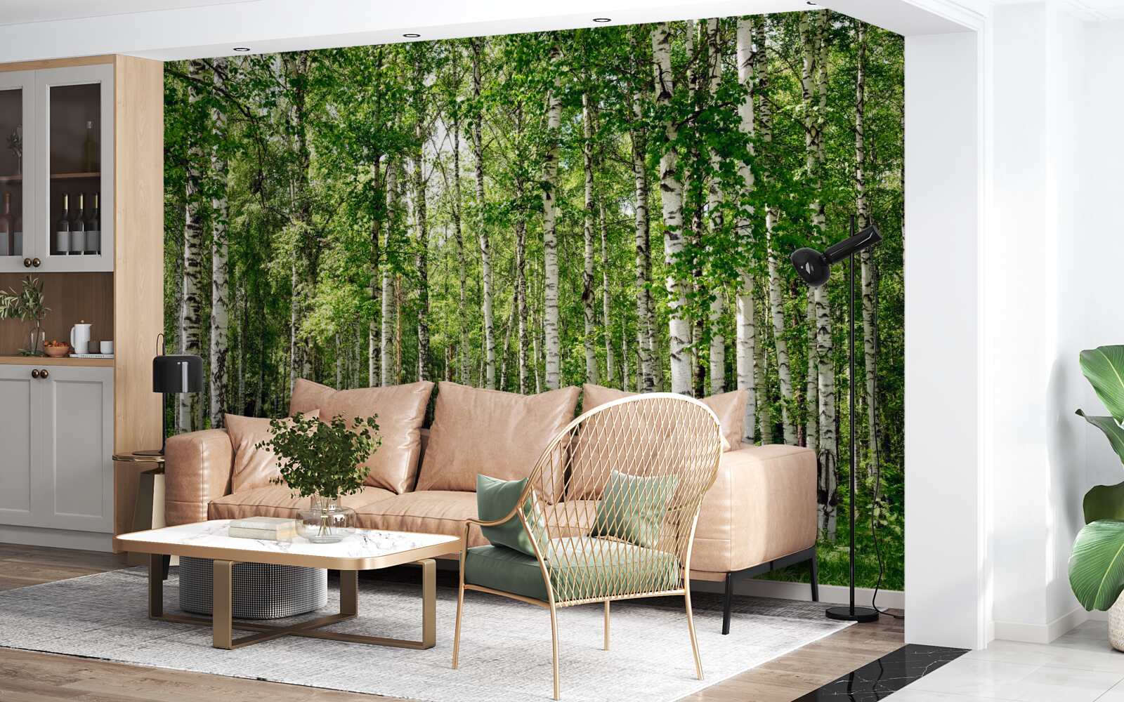 Fototapeta smukły gaj brzozowy