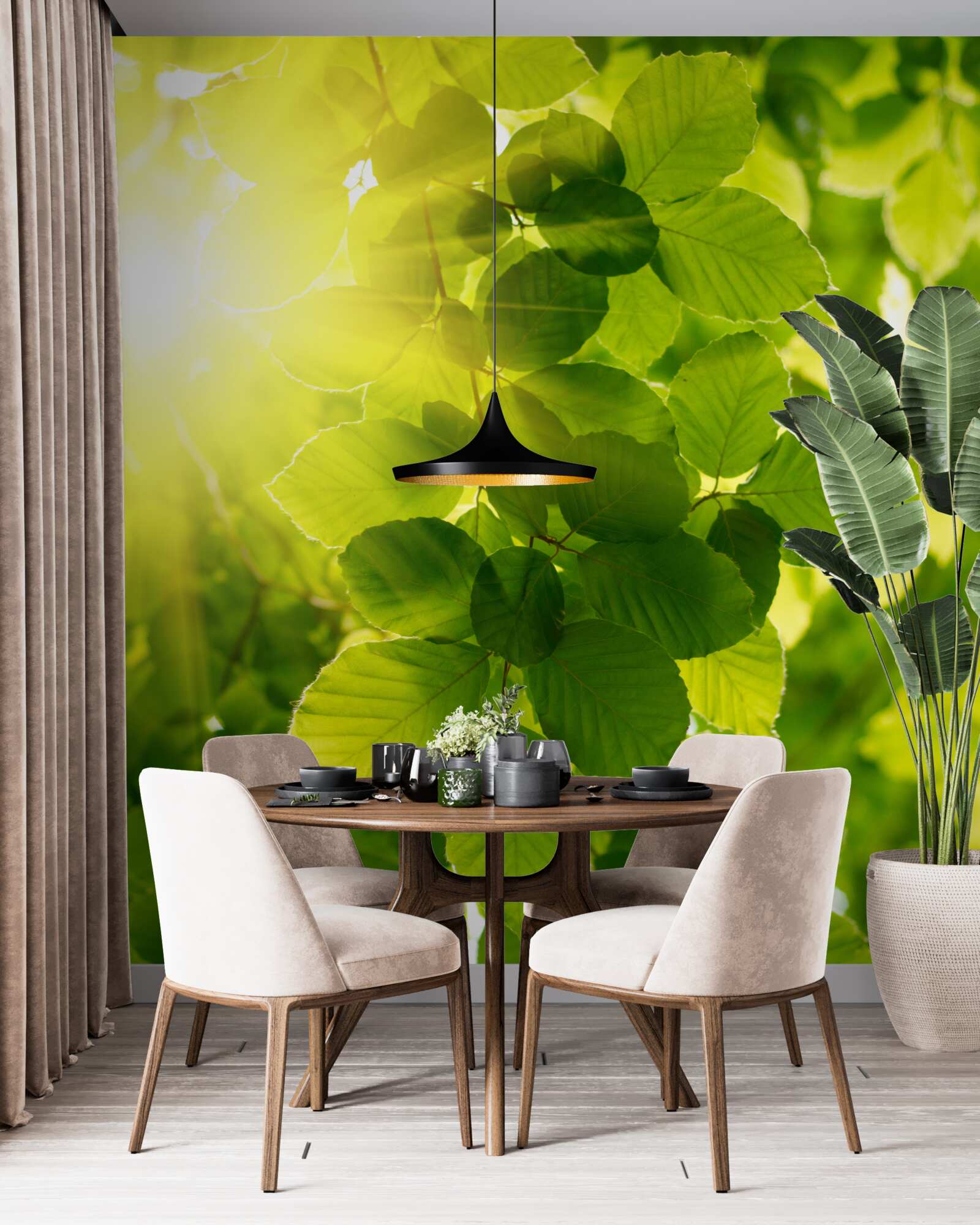 Fototapeta poranne światło słońca wita zielone liście