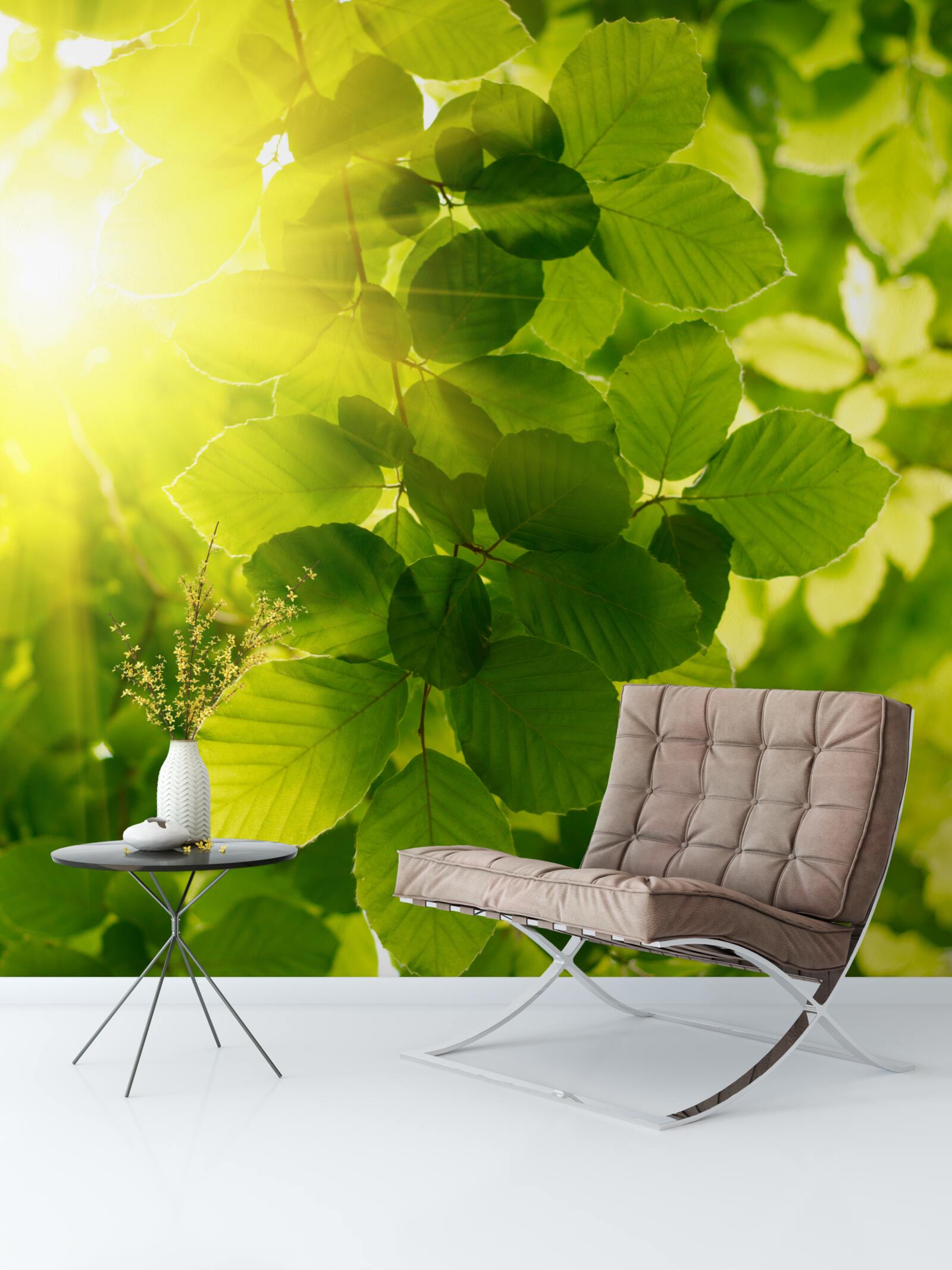 Fototapeta poranne światło słońca wita zielone liście