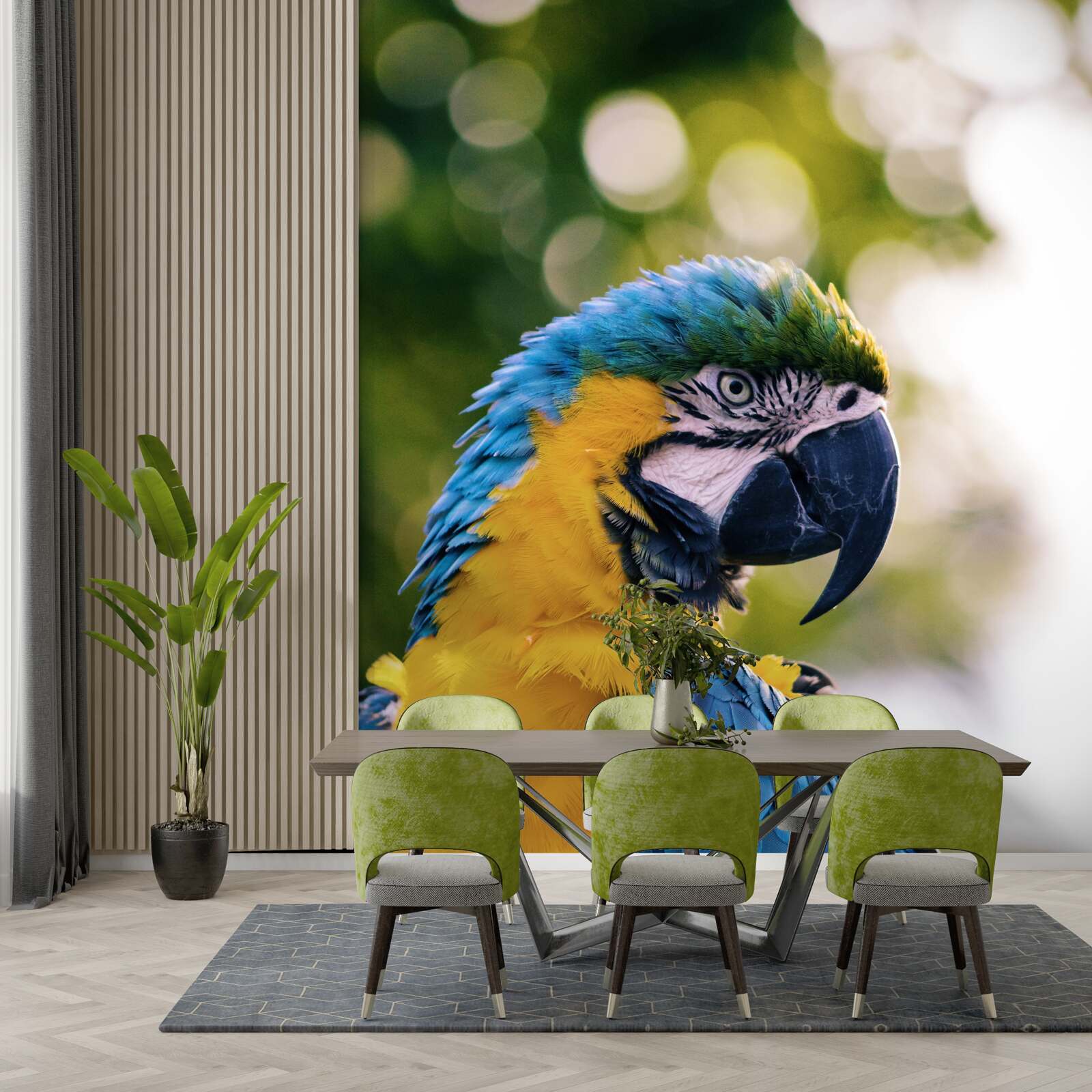 Fototapeta wizerunek atrakcyjnej papugi