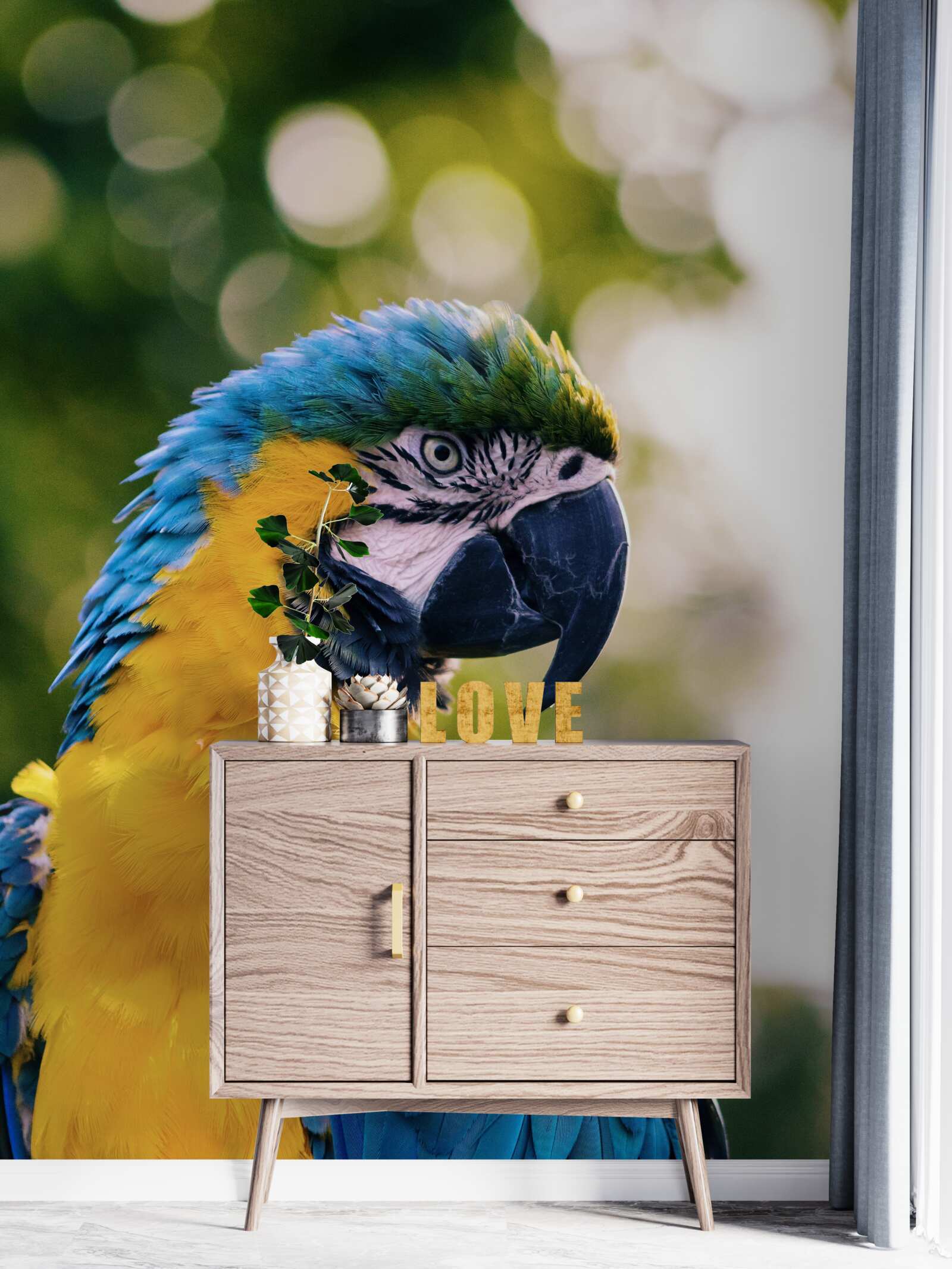 Fototapeta wizerunek atrakcyjnej papugi