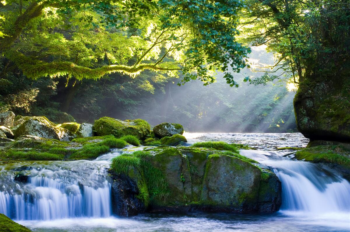 Fototapeta promienie słońca docierają do leśnego wodospadu