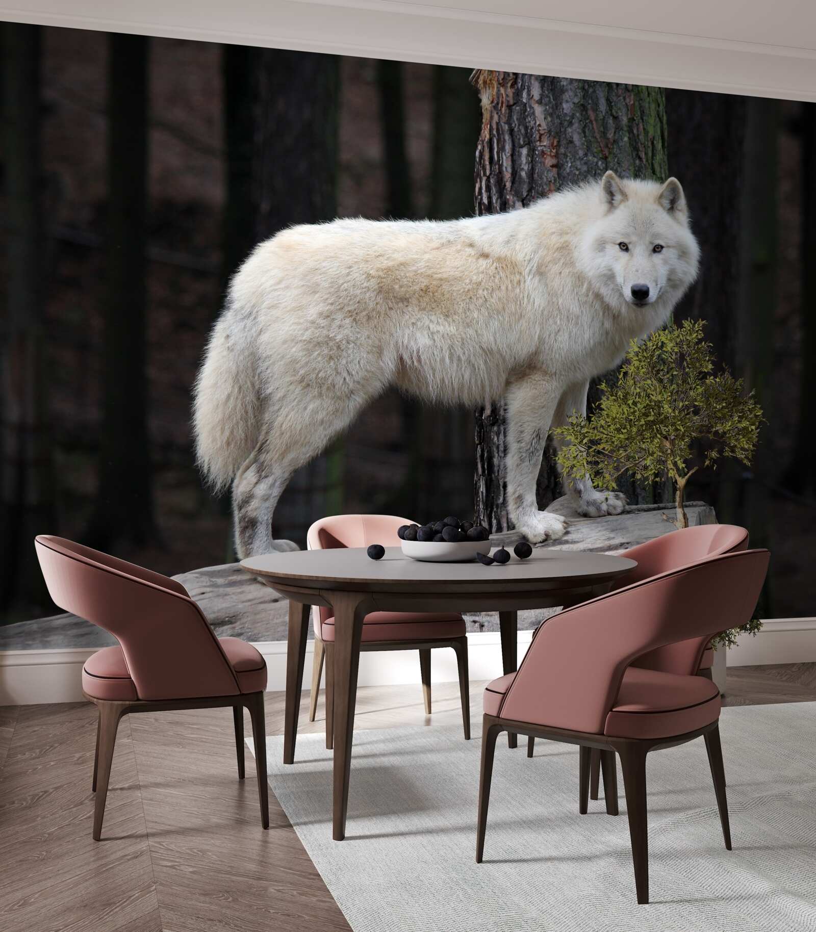 Fototapeta szary wilk na drewnianej kłodzie