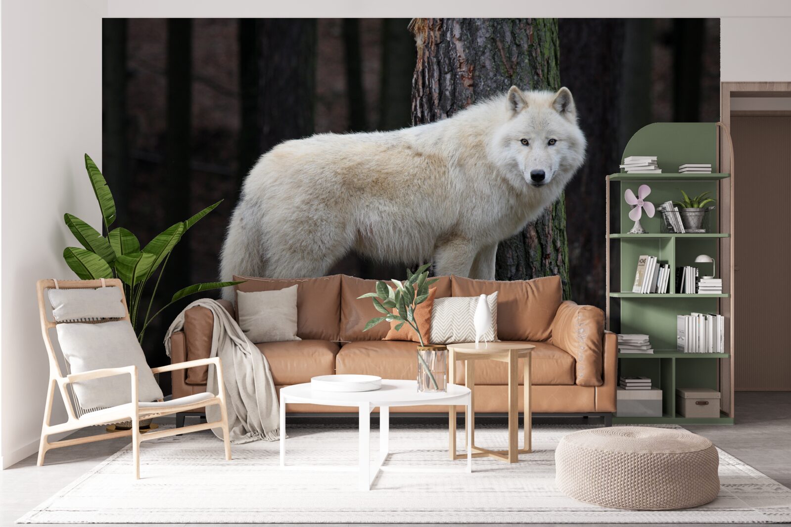 Fototapeta szary wilk na drewnianej kłodzie