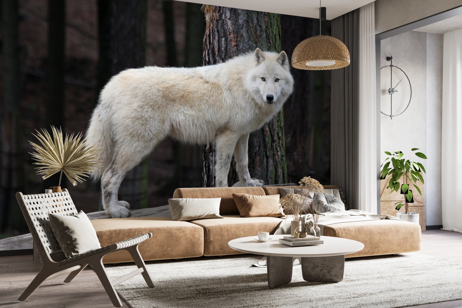 Fototapeta szary wilk na drewnianej kłodzie