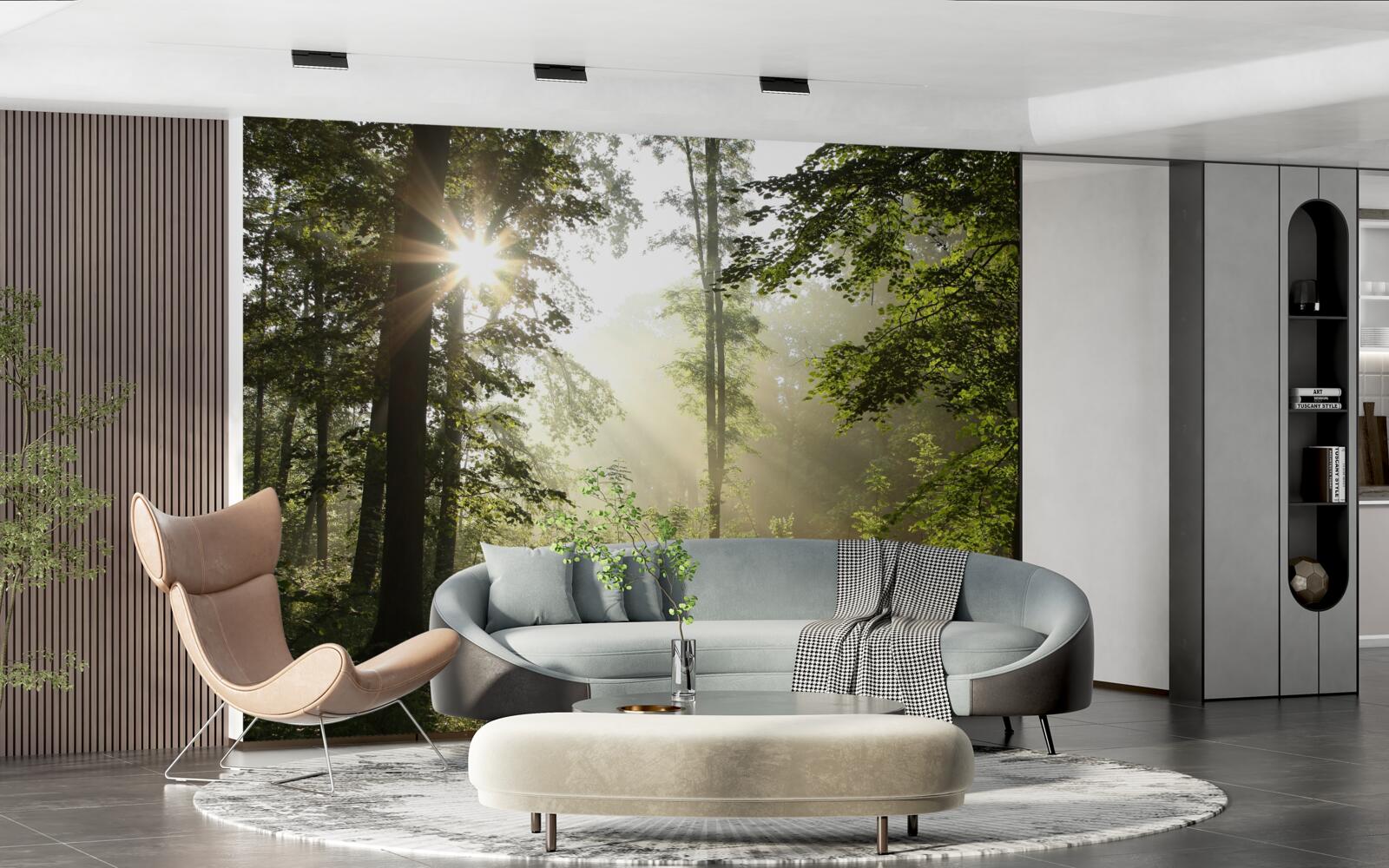 Fototapeta promienie słońca odpędzają nocny chłód od drzew