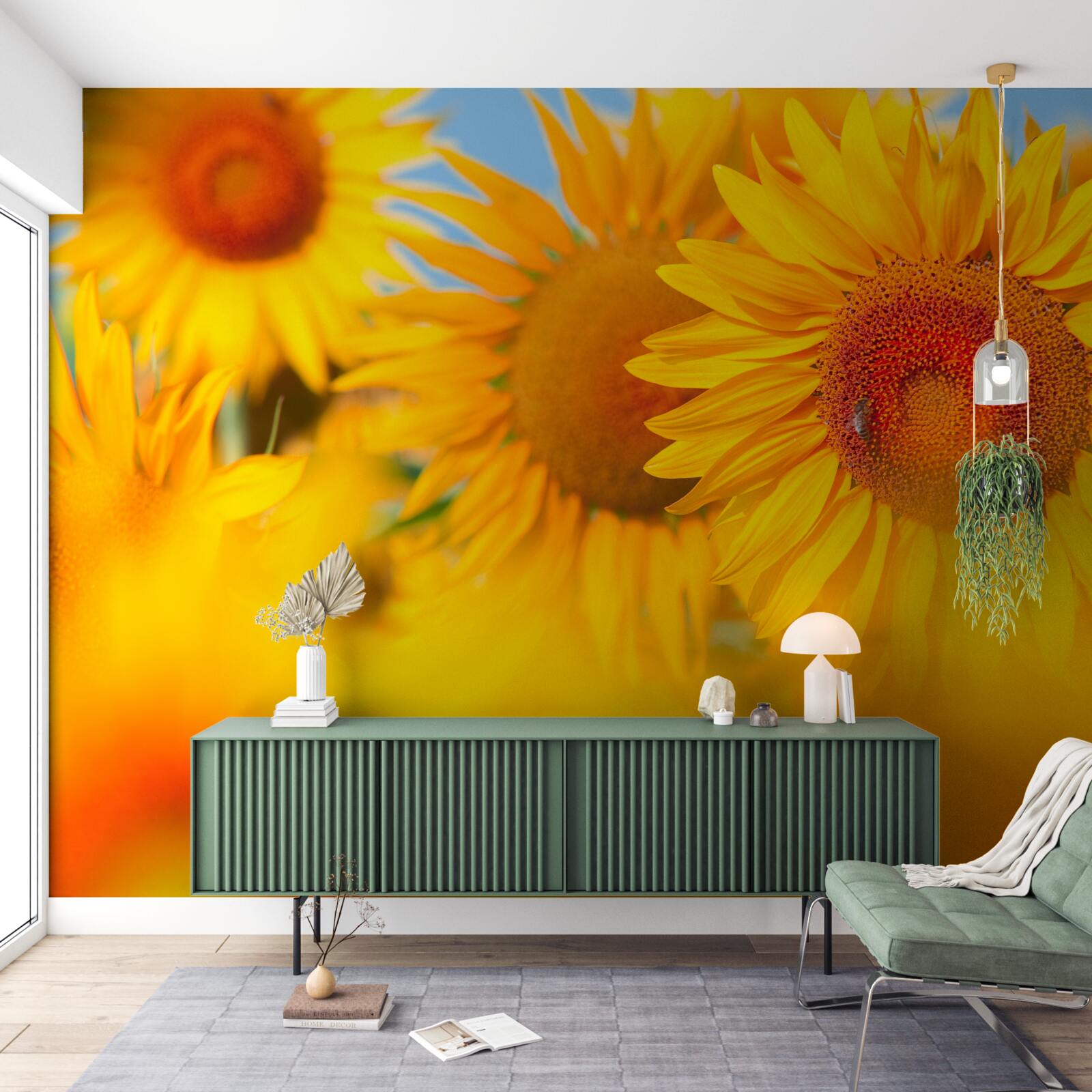 Fototapeta słoneczniki pod słońcem