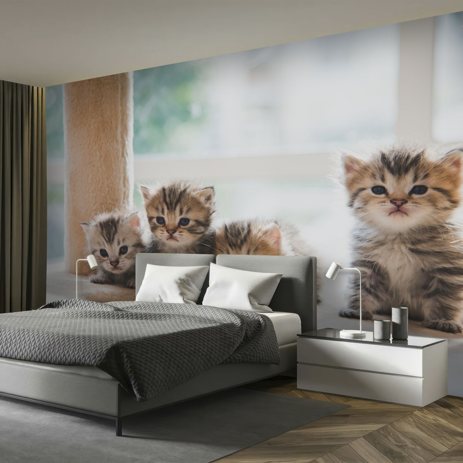 Fototapeta małe koty szukają matki