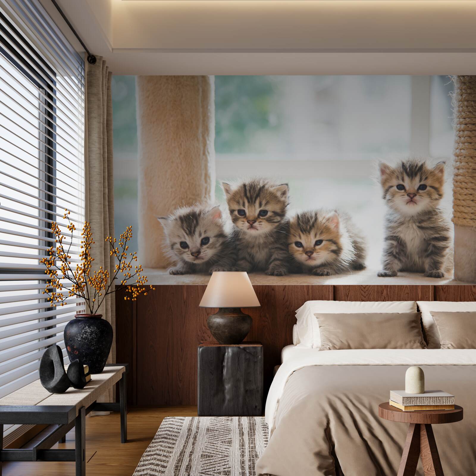 Fototapeta małe koty szukają matki