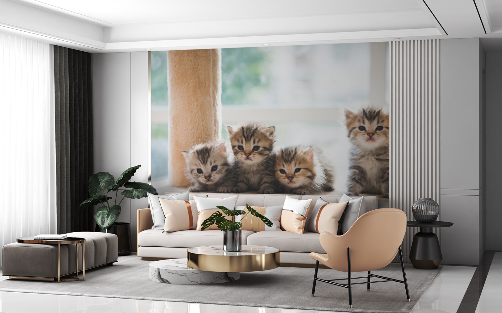 Fototapeta małe koty szukają matki