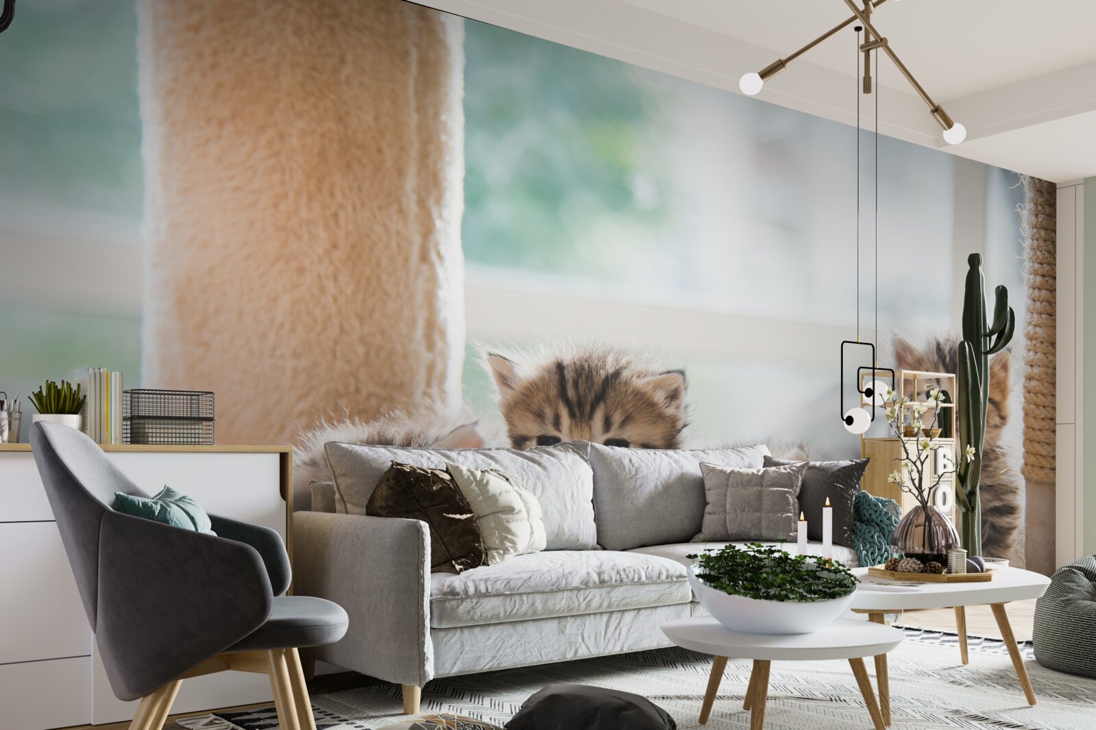 Fototapeta małe koty szukają matki