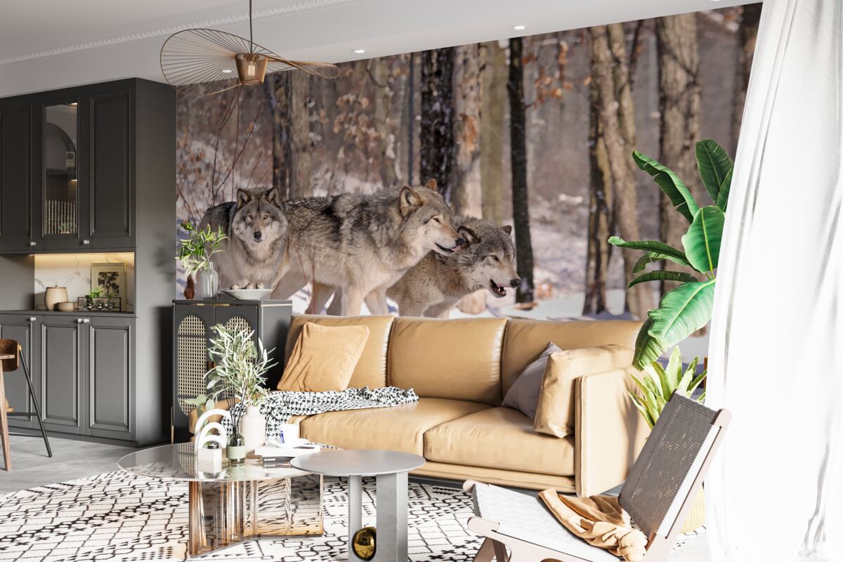 Fototapeta grupa wilków spaceruje przez zimowy gąszcz lasu