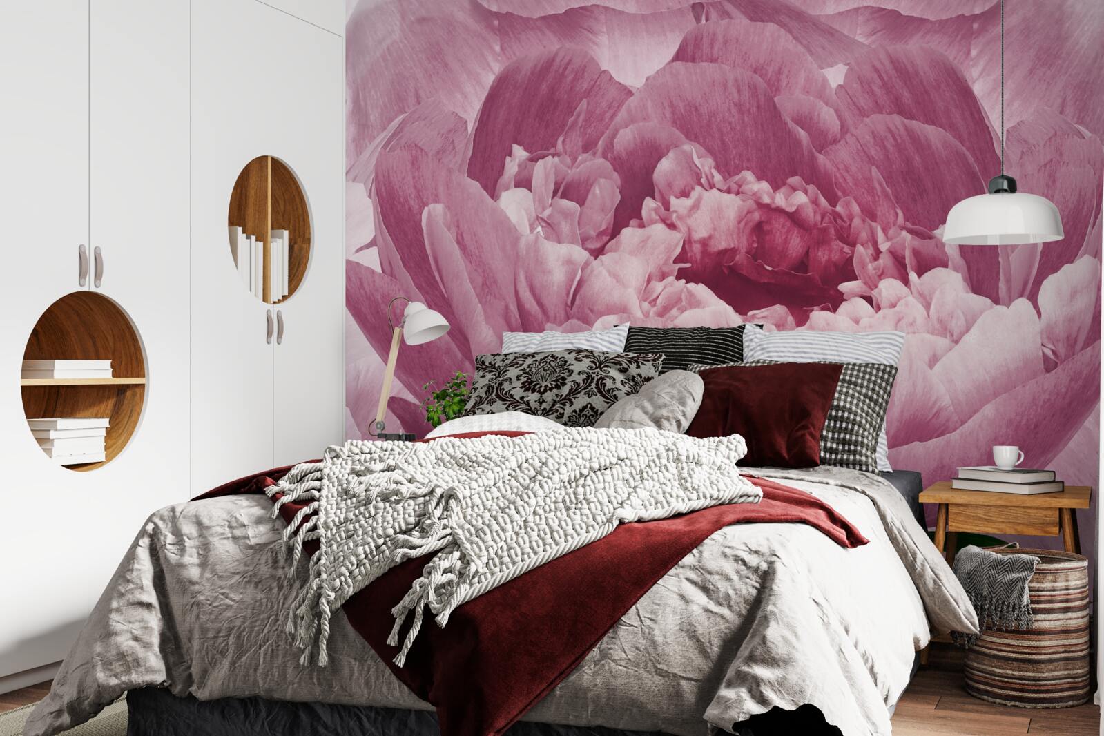 Fototapeta obfity różowy kwiat asteru