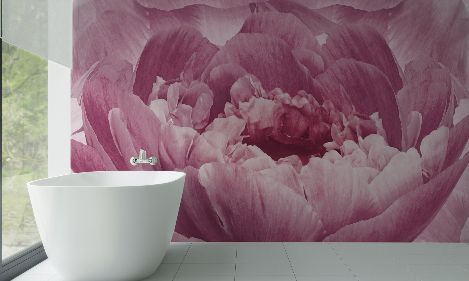 Fototapeta obfity różowy kwiat asteru