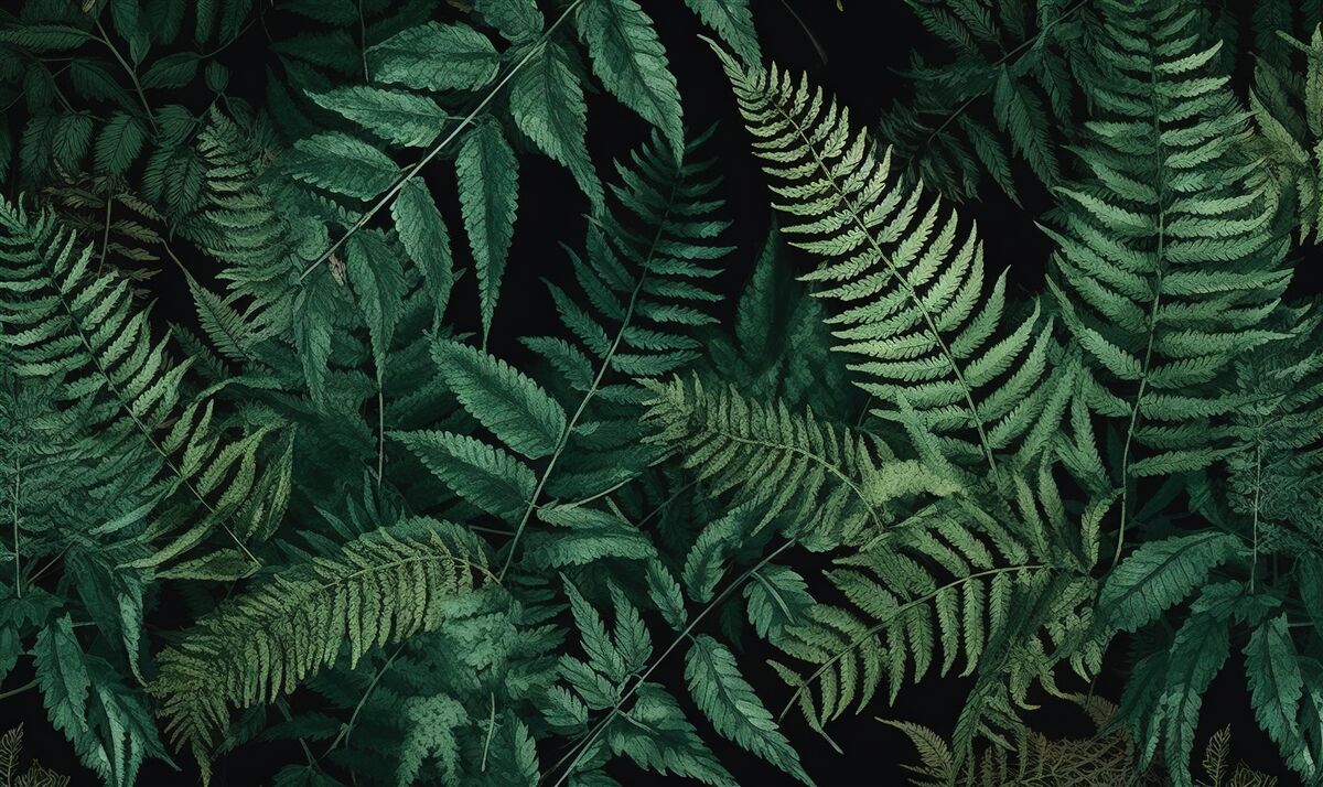 Fototapeta w nocy płatki paproci łatwo się kołyszą