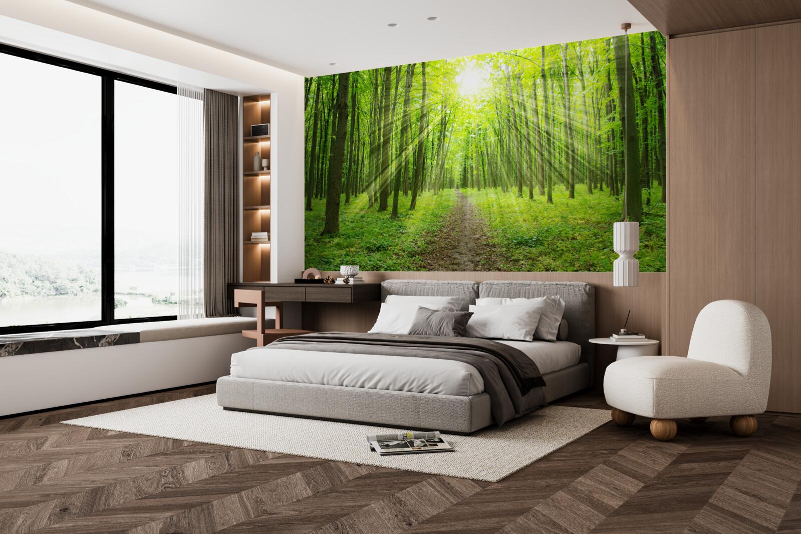 Fototapeta promienie słońca w bujnym zielonym lesie jasno oświetlają wszystko wokół