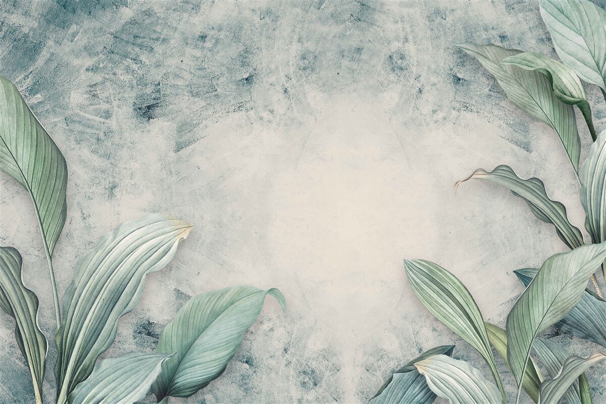 Fototapeta mglista mgła otacza rośliny tropikalne