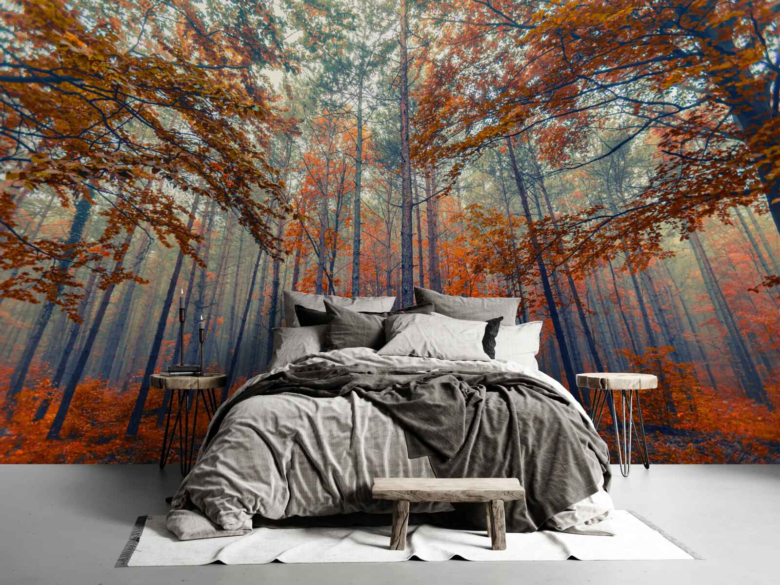 Fototapeta liście jesiennego lasu, które opadły