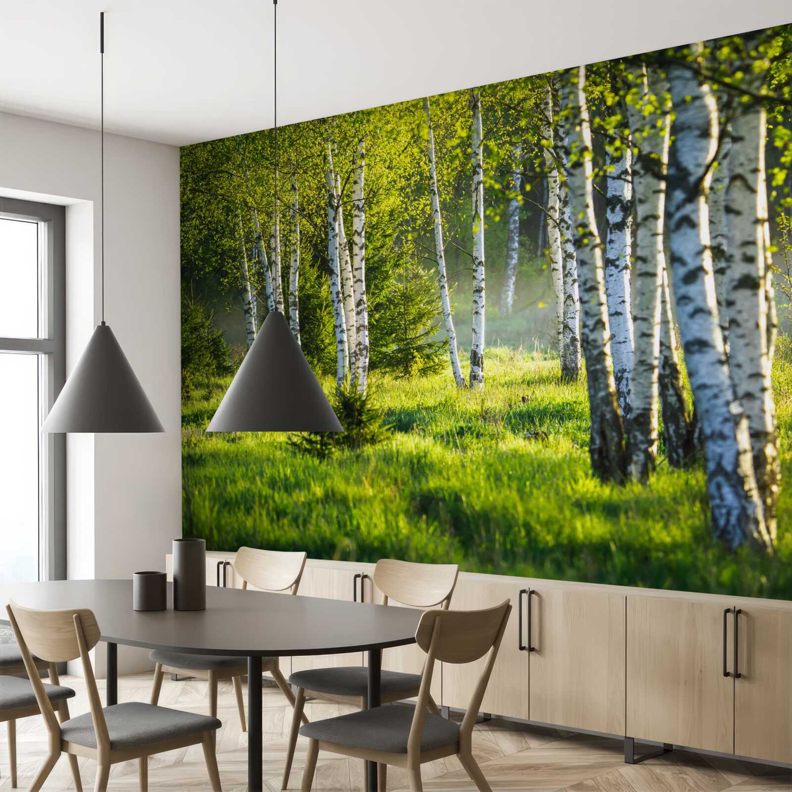 Fototapeta Łąki ozdobione majestatycznymi brzozami pomalowane są na jaskrawą zieleń