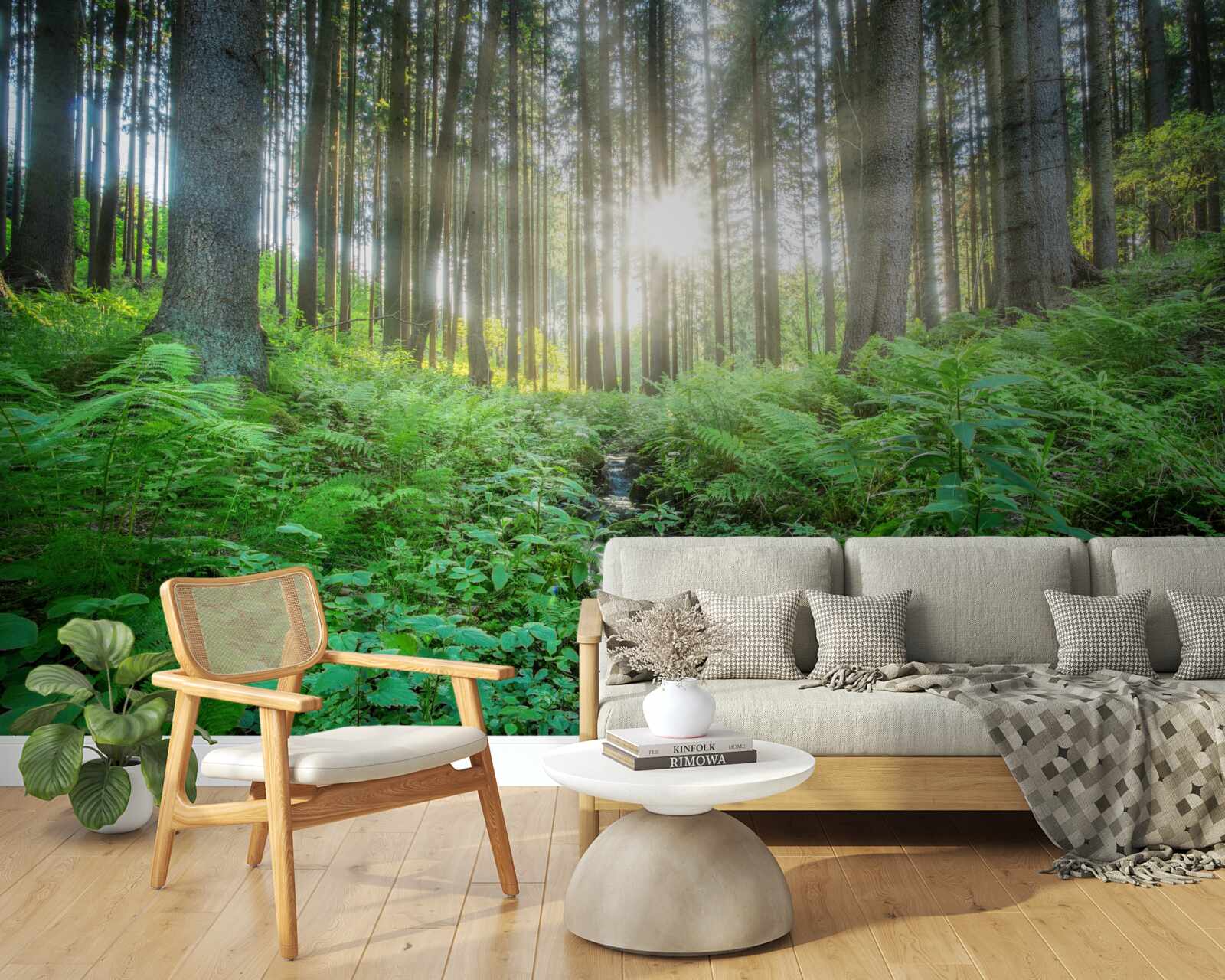 Fototapeta promienie słońca przenikają przez gęsty las