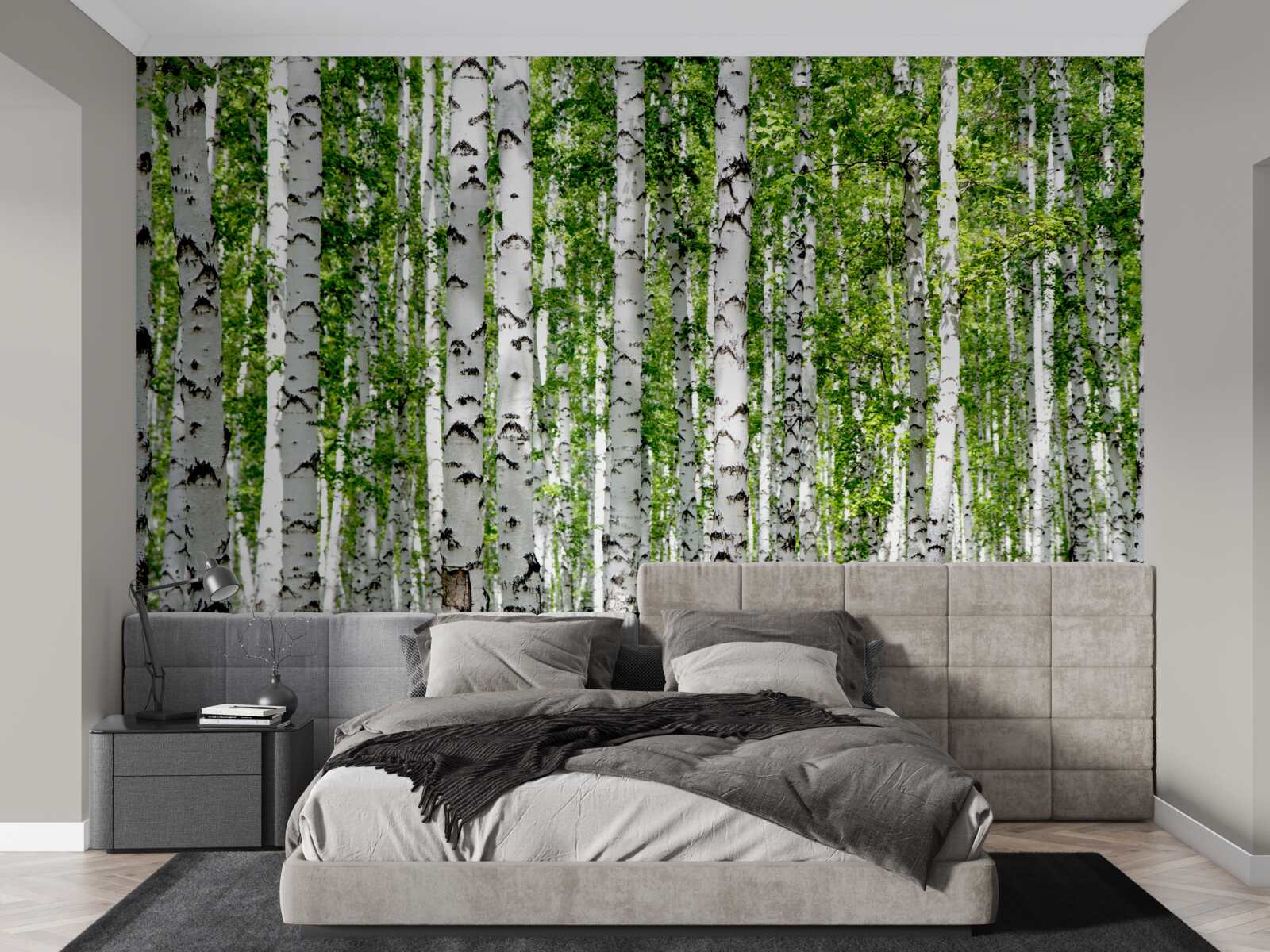 Fototapeta jasne liście wdzięcznych brzóz