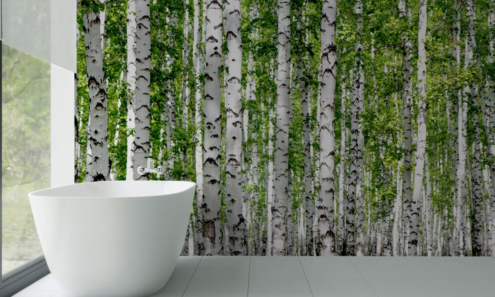 Fototapeta jasne liście wdzięcznych brzóz