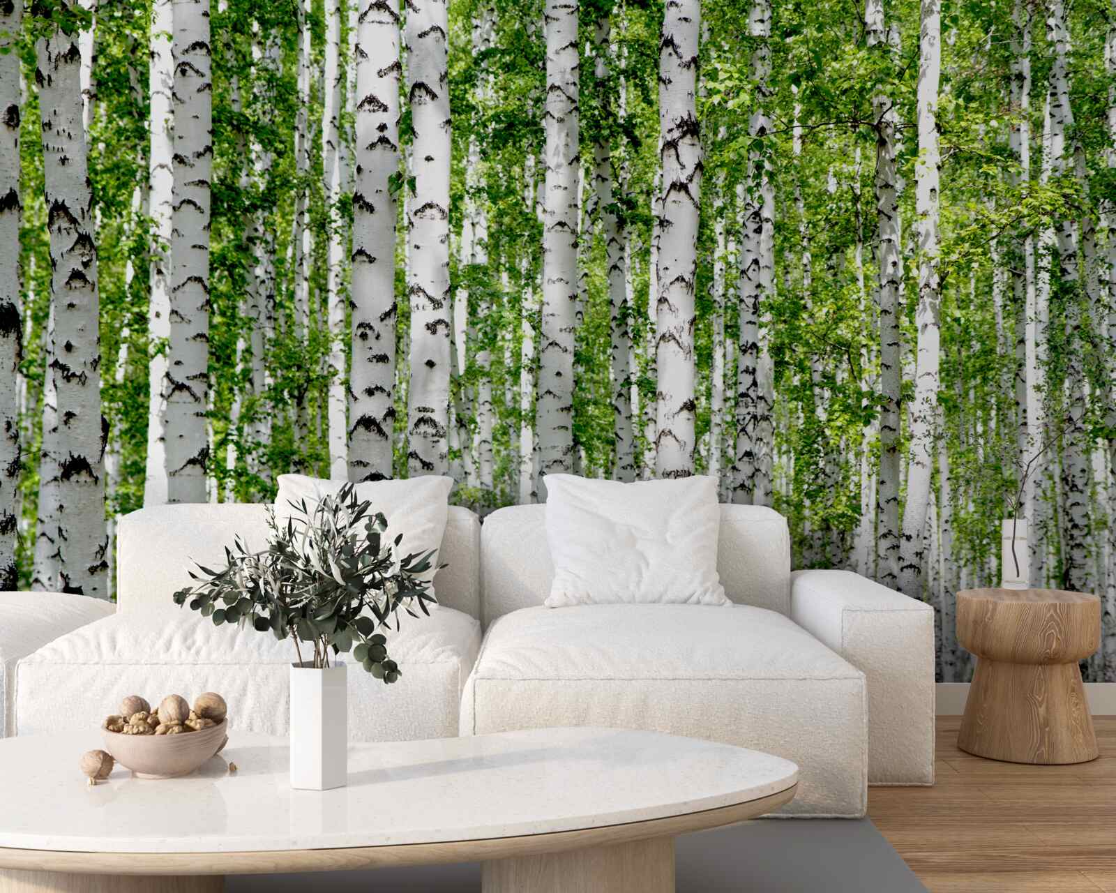 Fototapeta jasne liście wdzięcznych brzóz