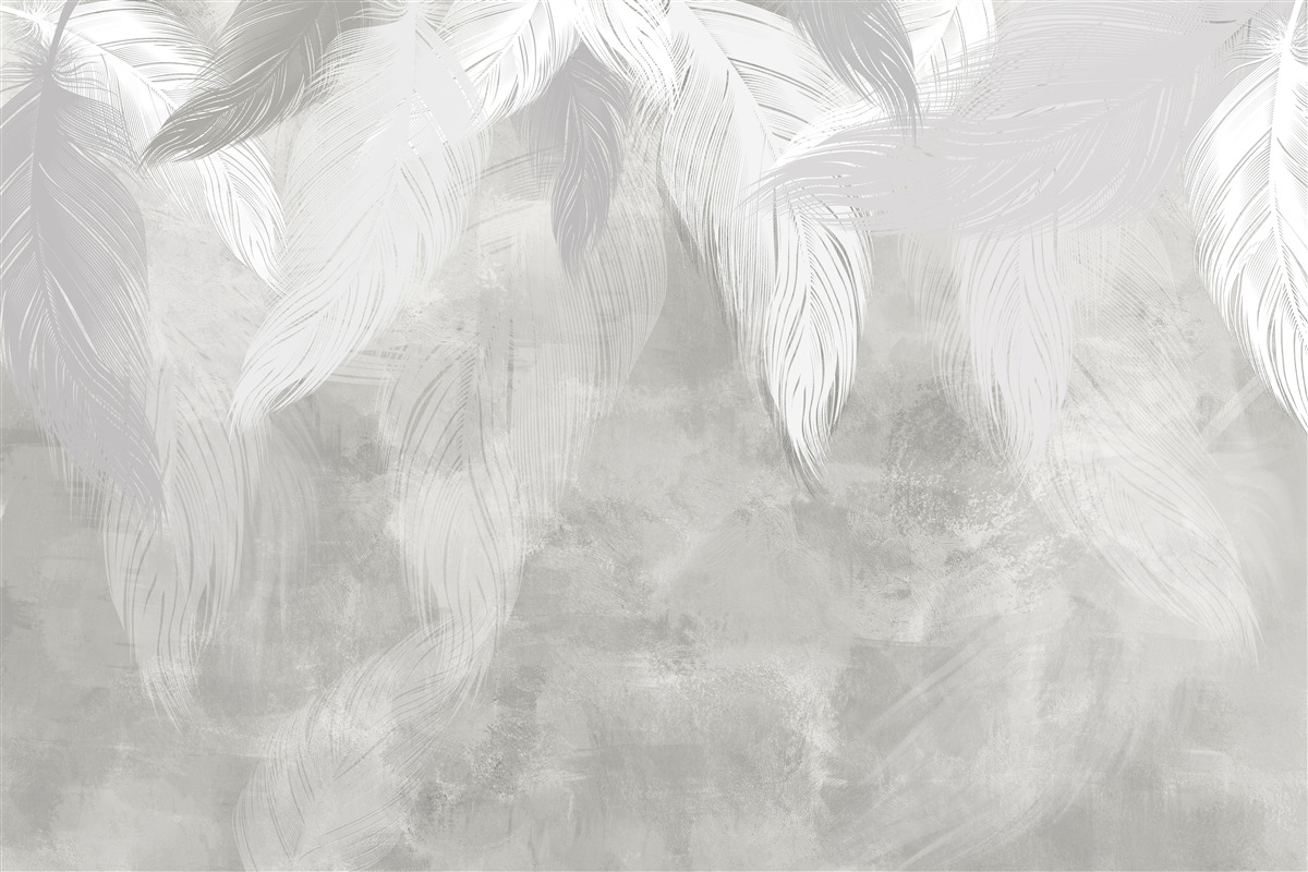 Fototapeta poranek w lesie deszczowym, spowity mgłą