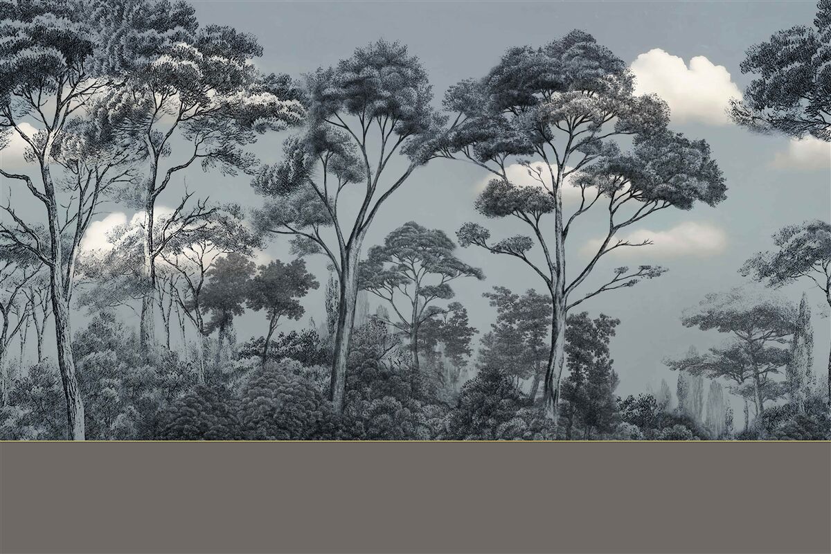 Fototapeta las pogrąża się w nadchodzącej nocy