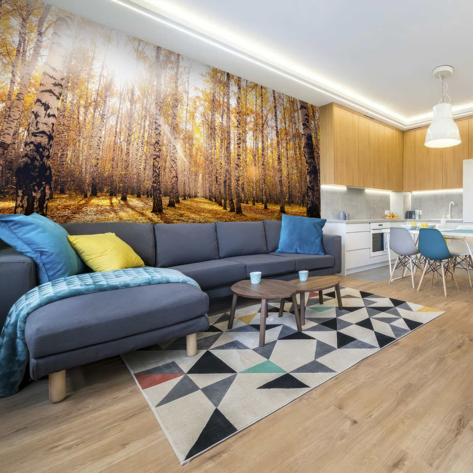 Fototapeta błysnął o świcie jesiennego gaju