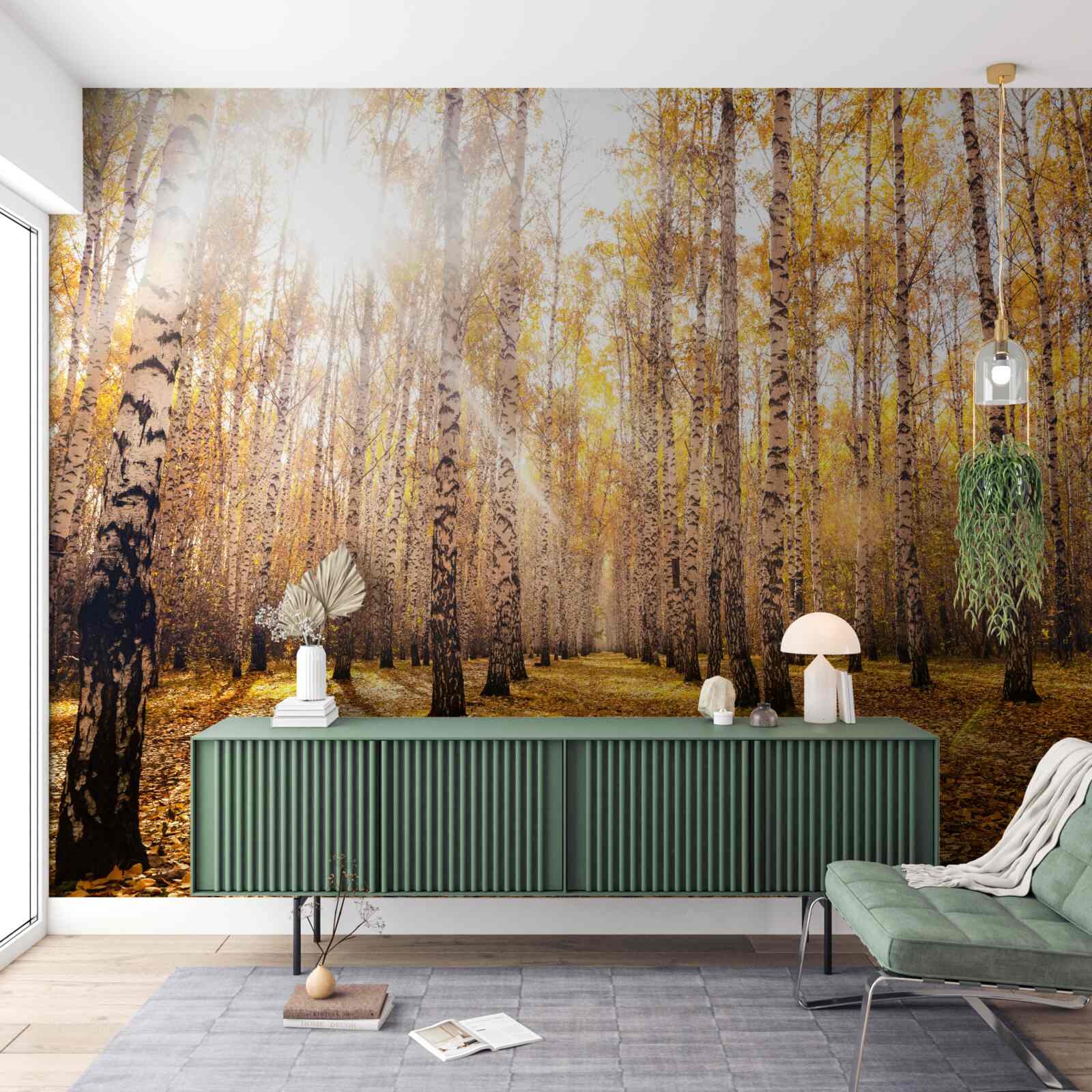 Fototapeta błysnął o świcie jesiennego gaju