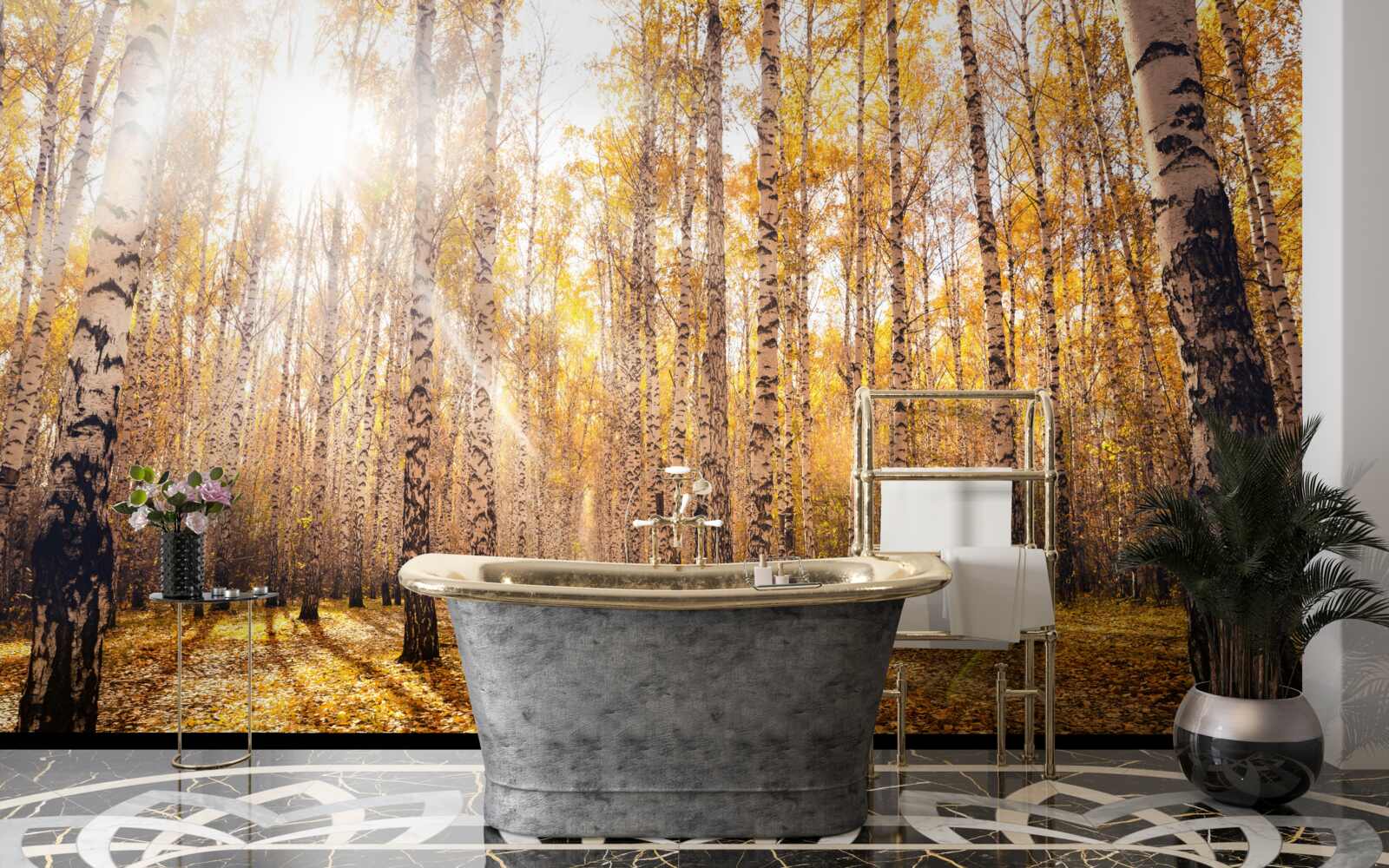 Fototapeta błysnął o świcie jesiennego gaju