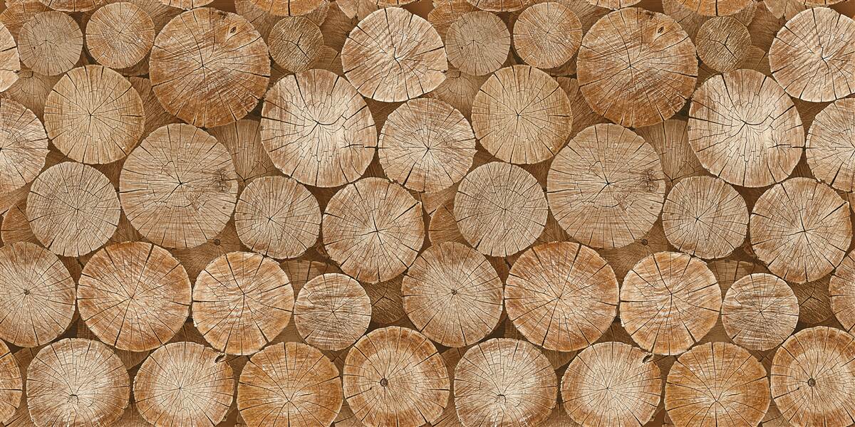 Fototapeta stos zebranego drewna opałowego