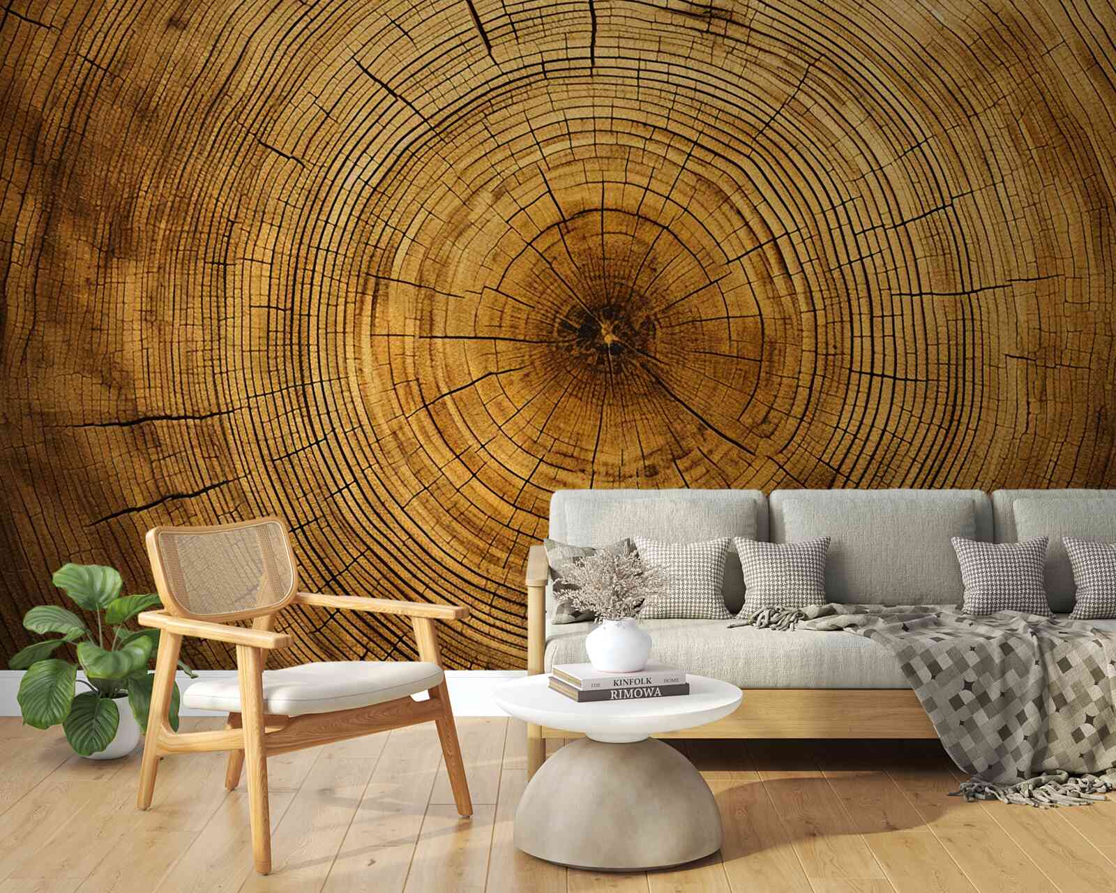 Fototapeta fragmenty filaru drzewa bogate w wielowiekowe warstwy