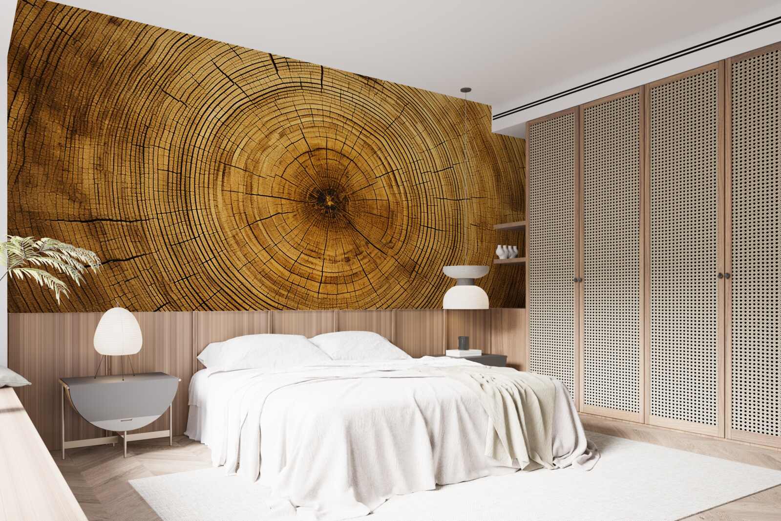 Fototapeta fragmenty filaru drzewa bogate w wielowiekowe warstwy