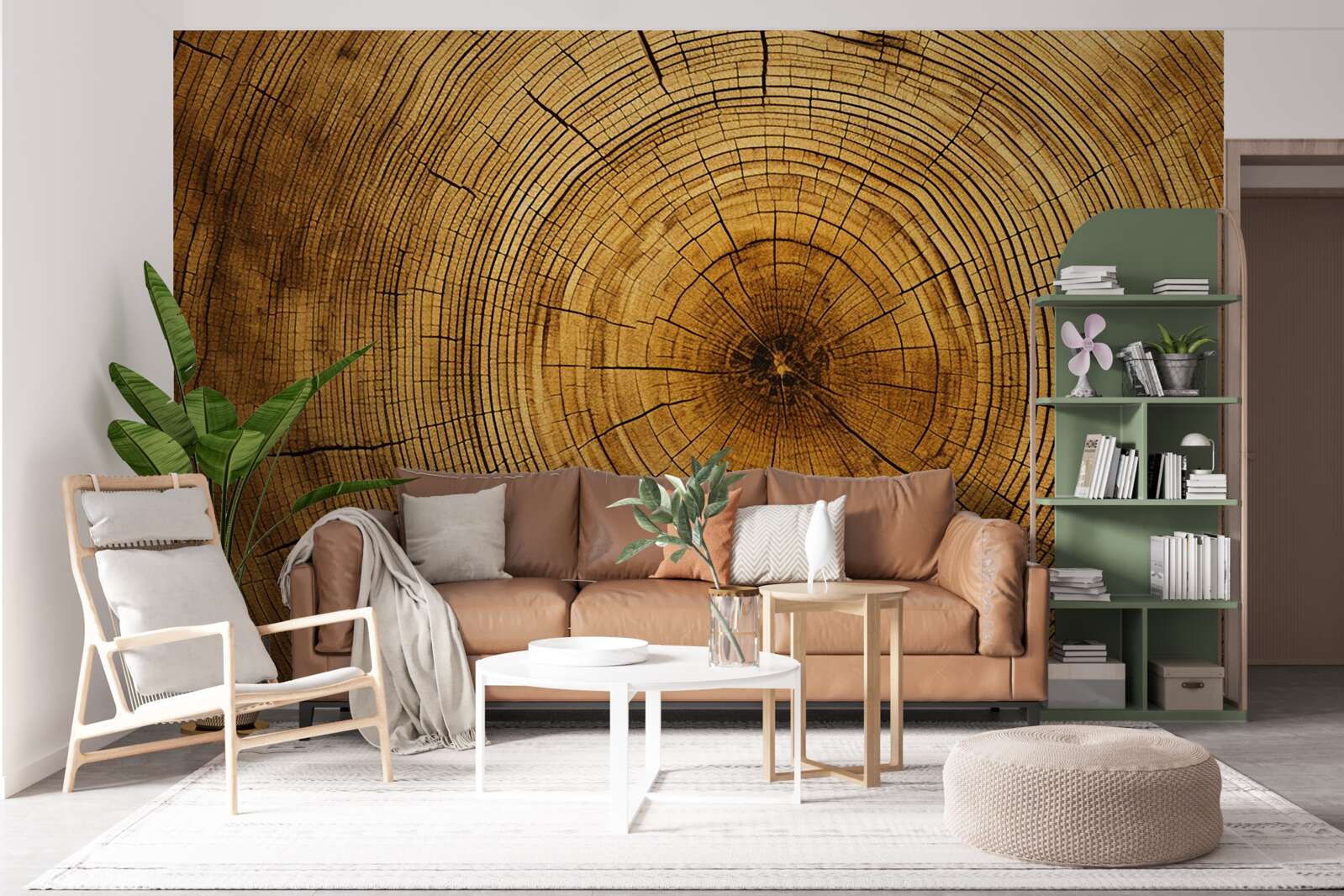 Fototapeta fragmenty filaru drzewa bogate w wielowiekowe warstwy