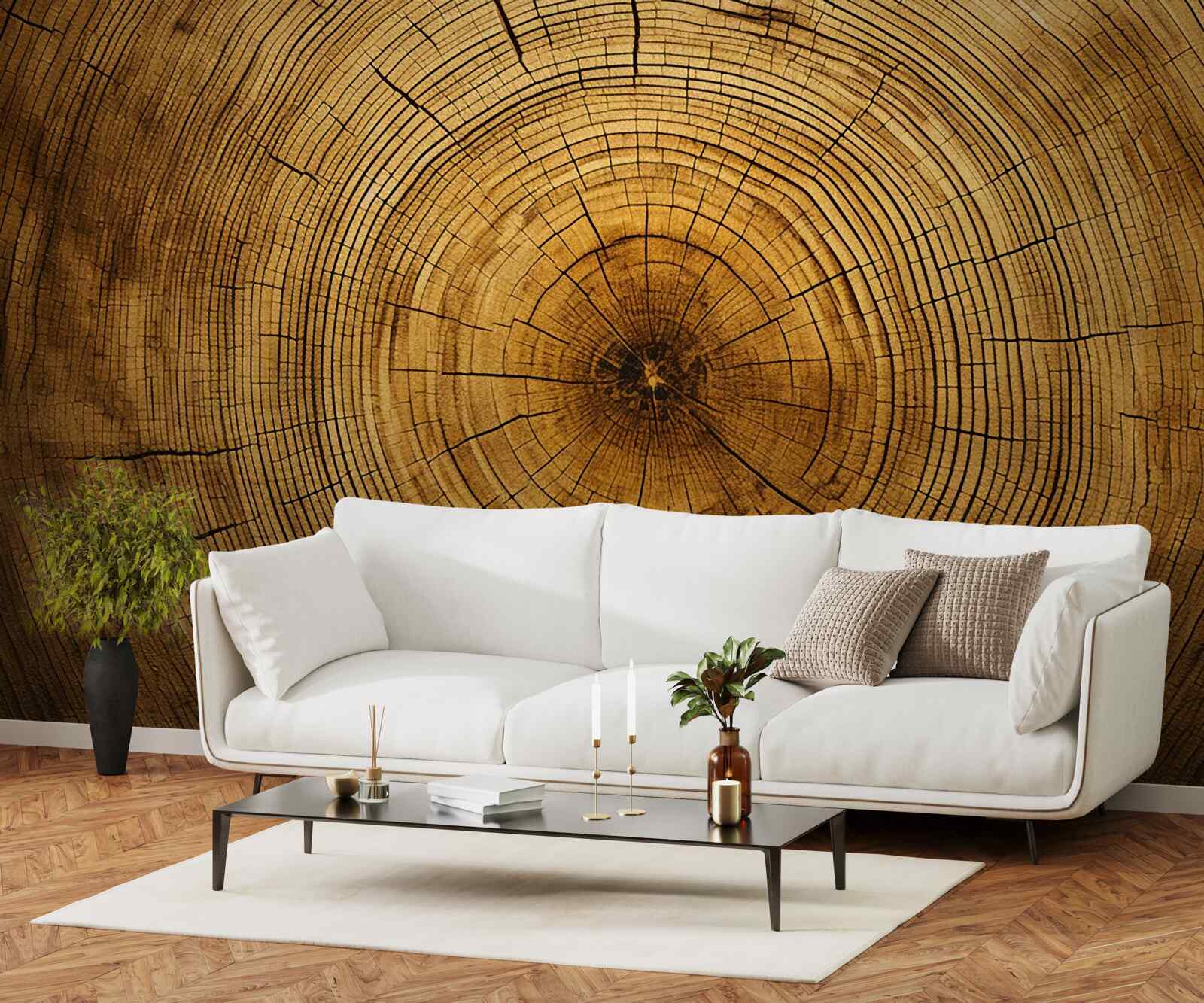 Fototapeta fragmenty filaru drzewa bogate w wielowiekowe warstwy