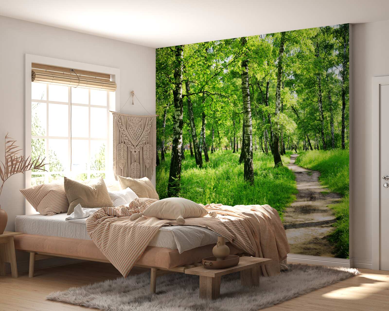 Fototapeta Ścieżka przez gaj brzozowy