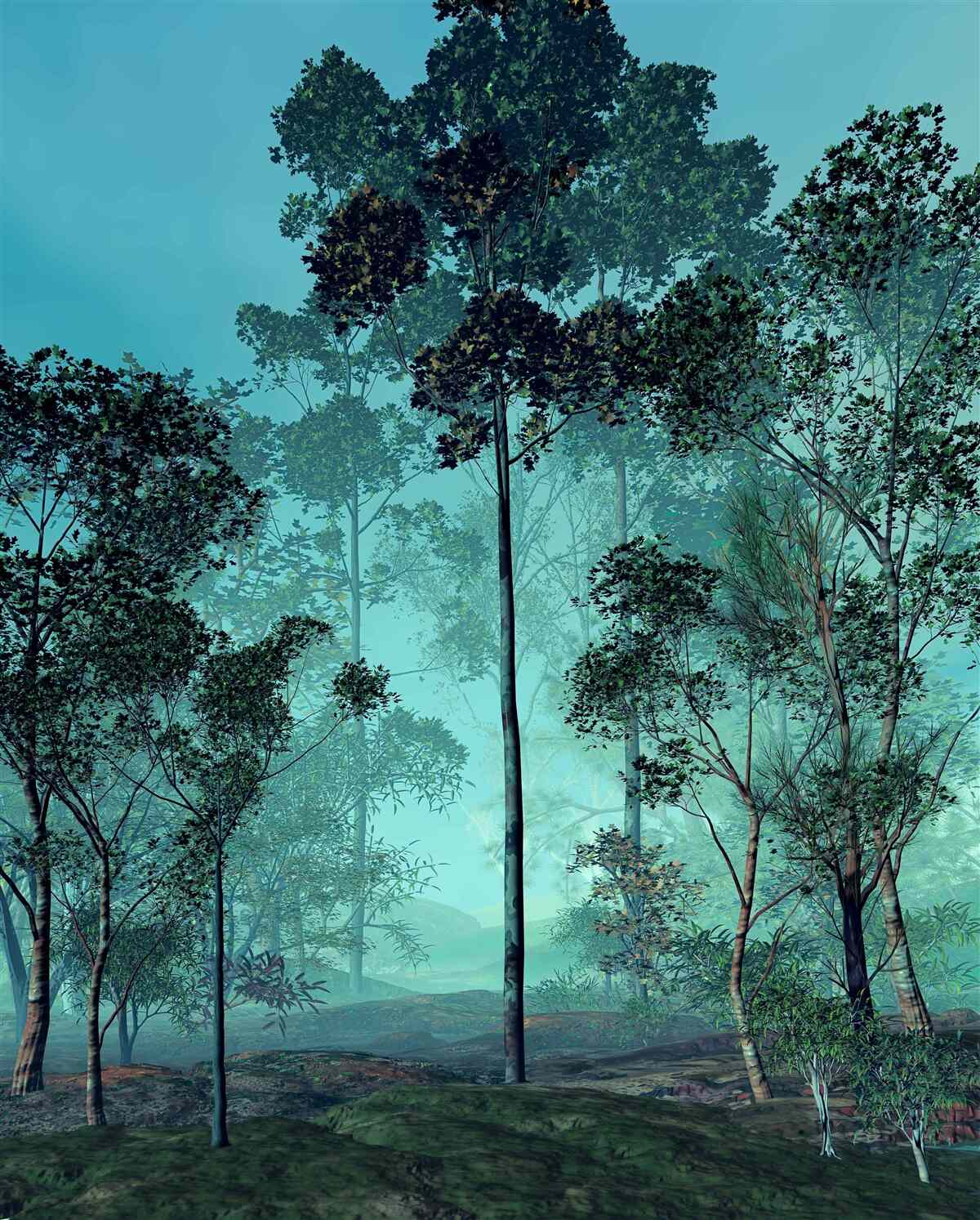 Fototapeta czarujący las spowity gęstą mgłą