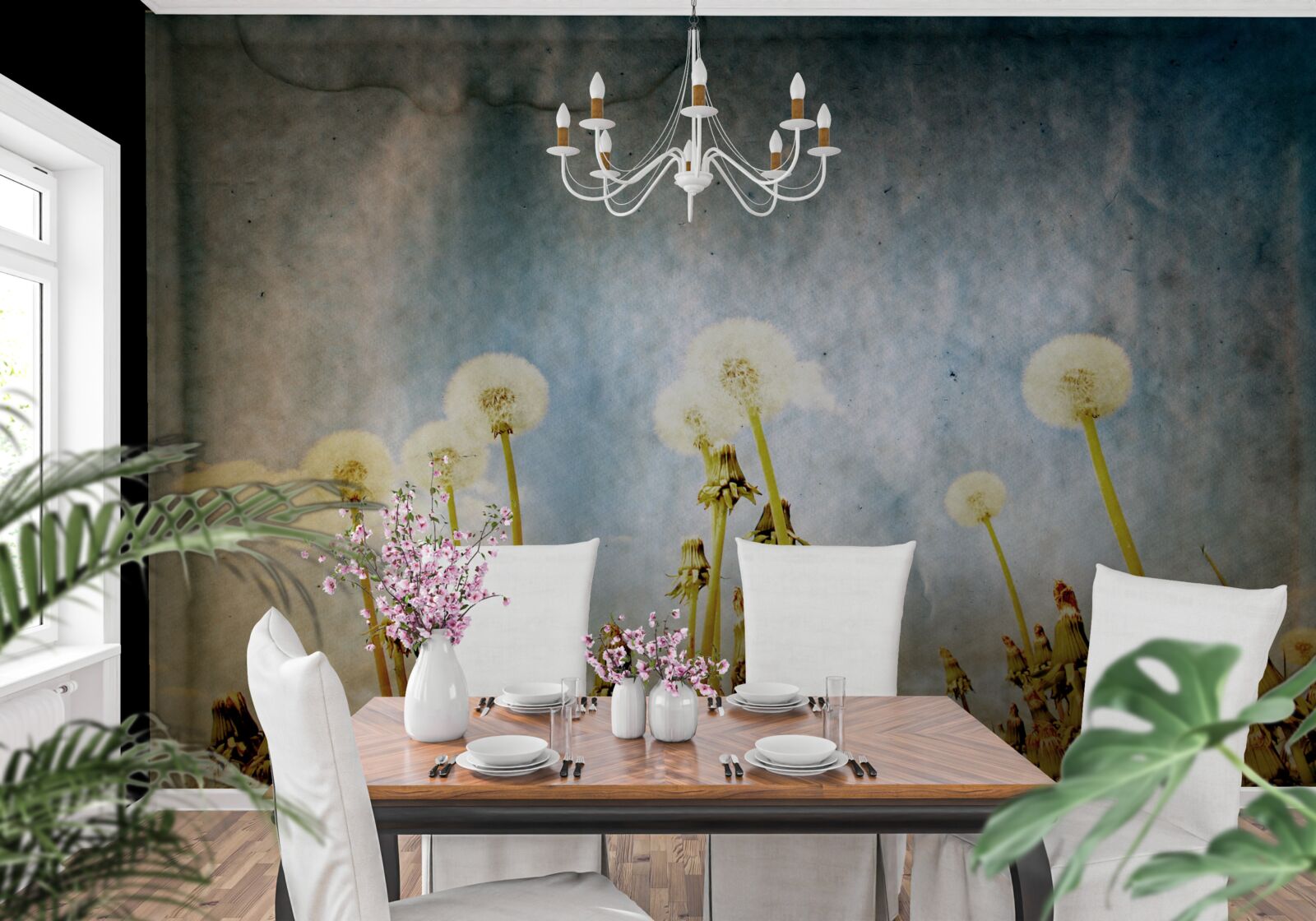 Fototapeta zachód słońca witają wdzięczne mlecze