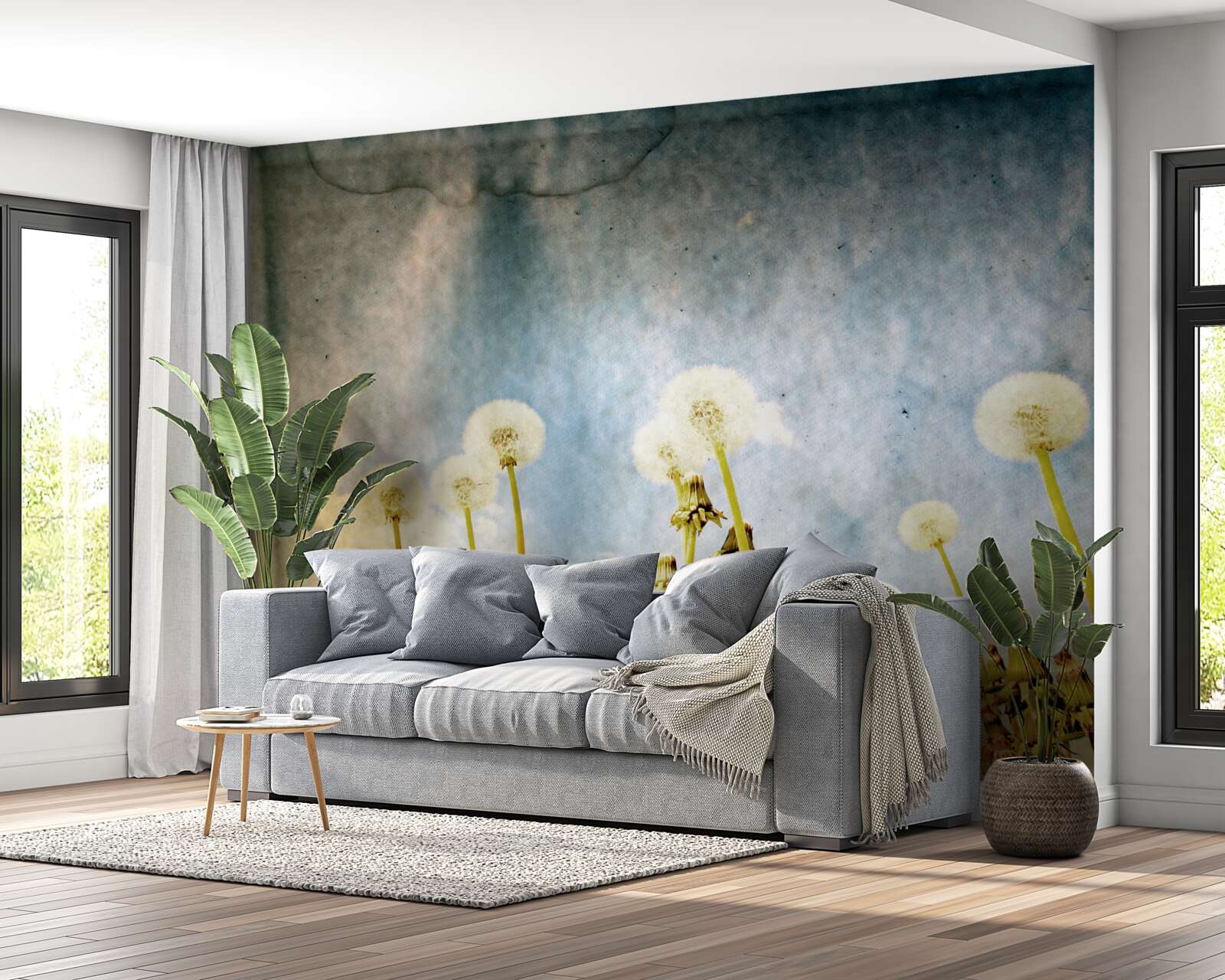 Fototapeta zachód słońca witają wdzięczne mlecze