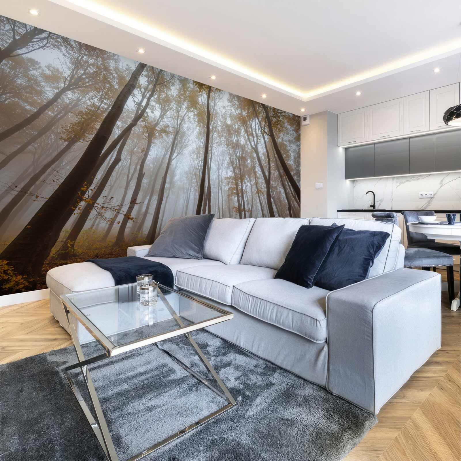 Fototapeta smukłe, wysokie drzewa jesienią