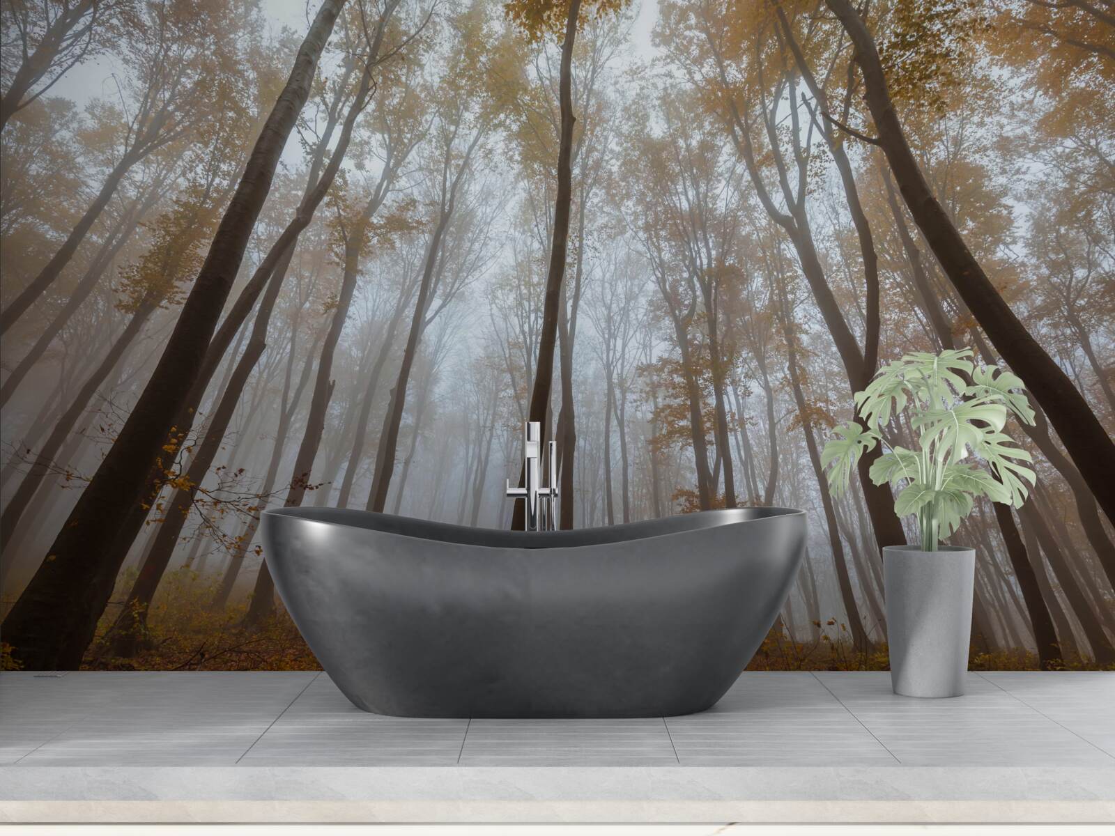 Fototapeta smukłe, wysokie drzewa jesienią