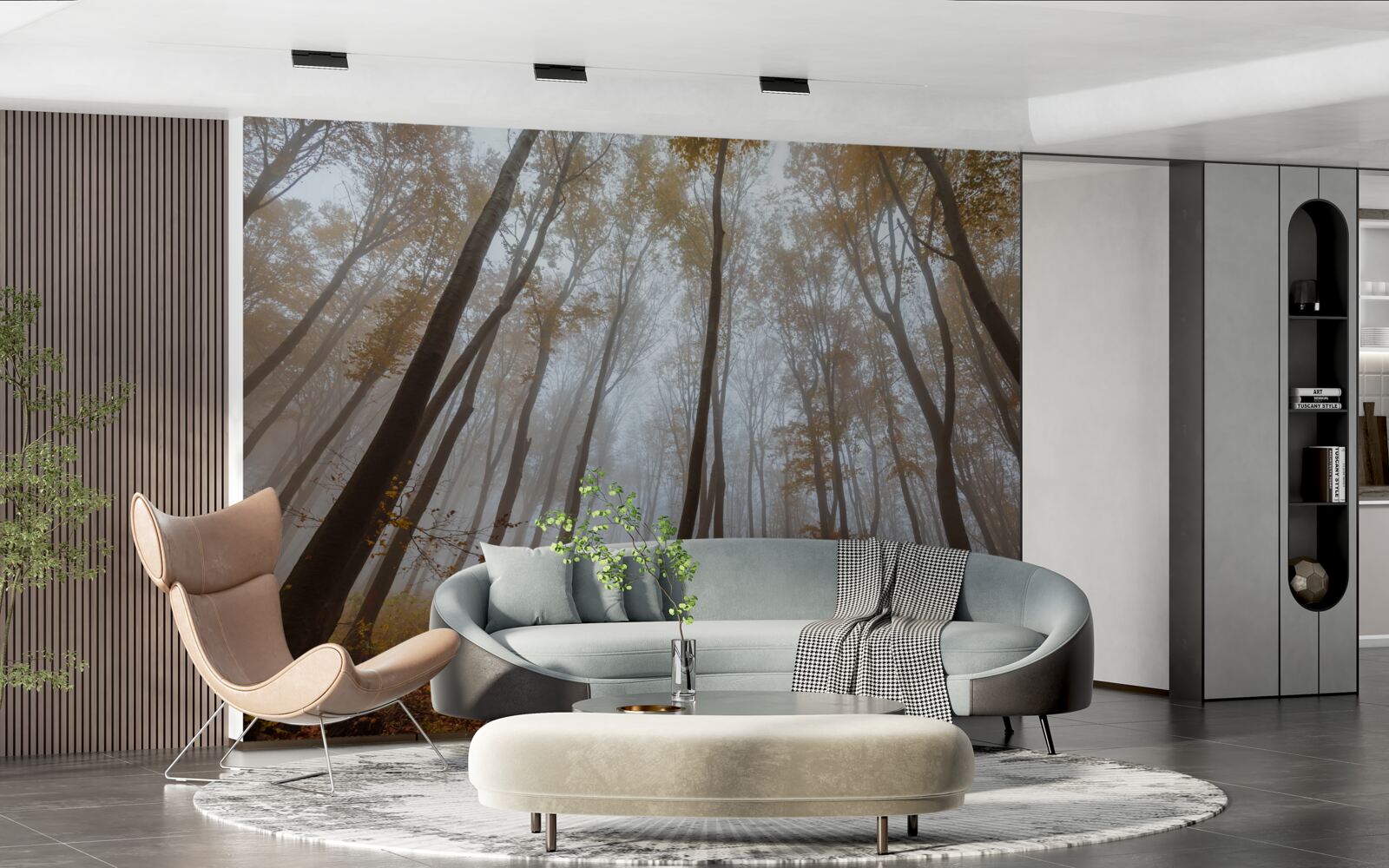 Fototapeta smukłe, wysokie drzewa jesienią