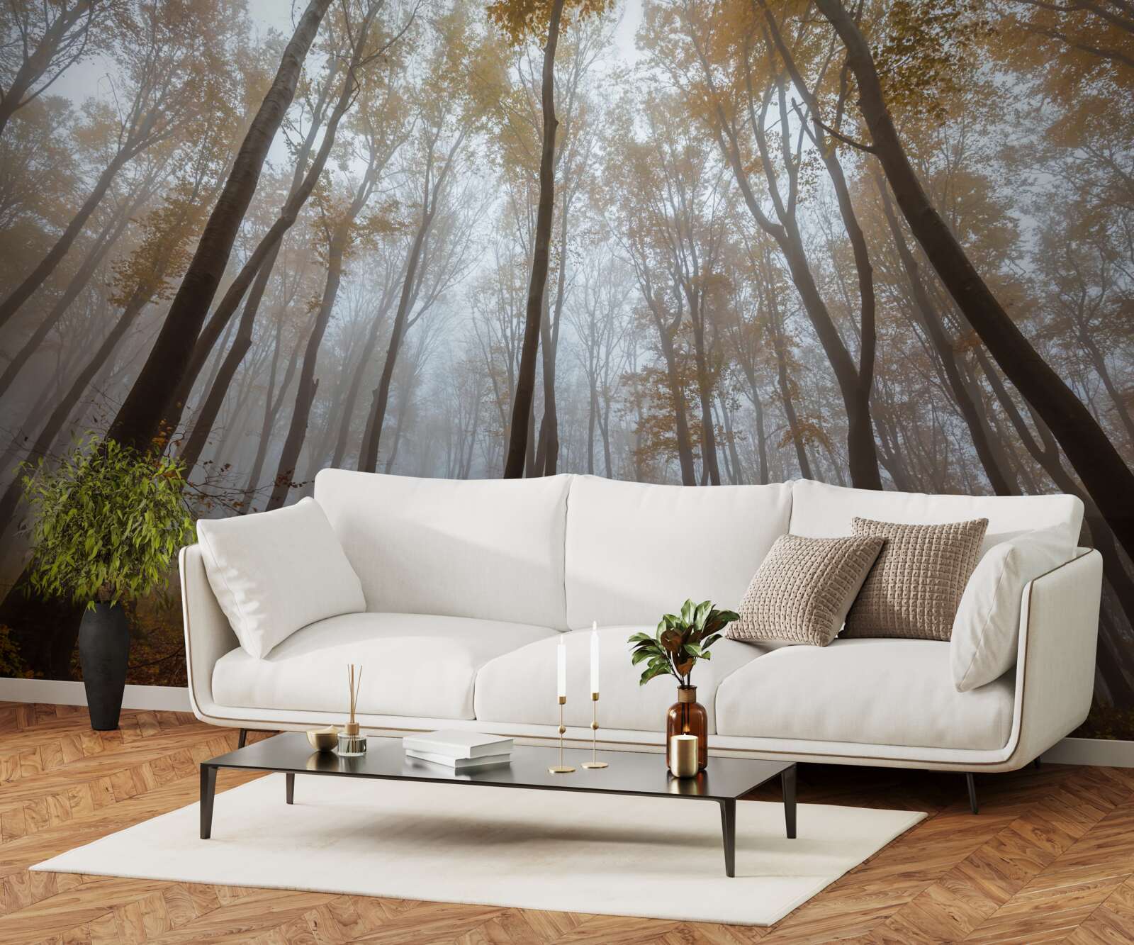 Fototapeta smukłe, wysokie drzewa jesienią