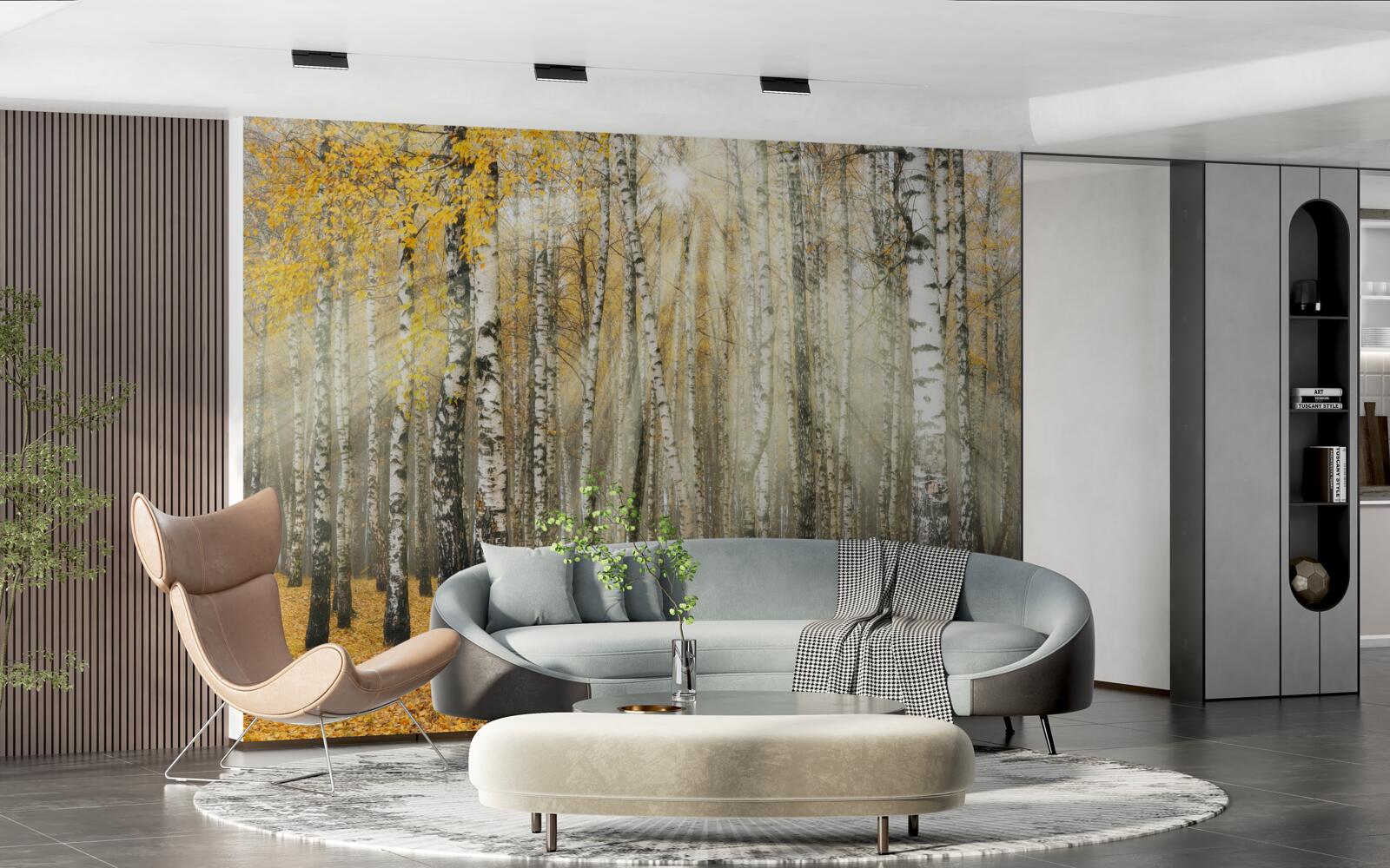 Fototapeta opadłe liście brzozy w jesiennym lesie