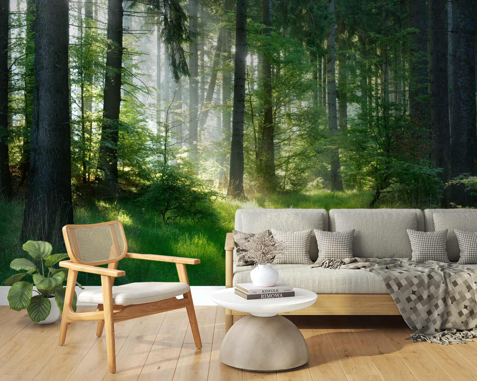 Fototapeta poranek w lesie, w otoczeniu zieleni