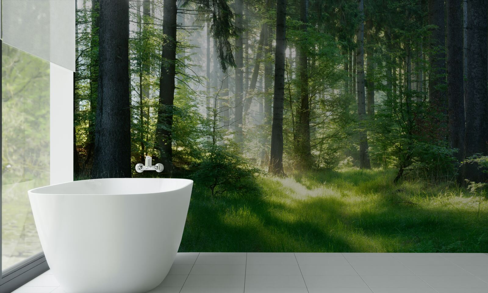 Fototapeta poranek w lesie, w otoczeniu zieleni